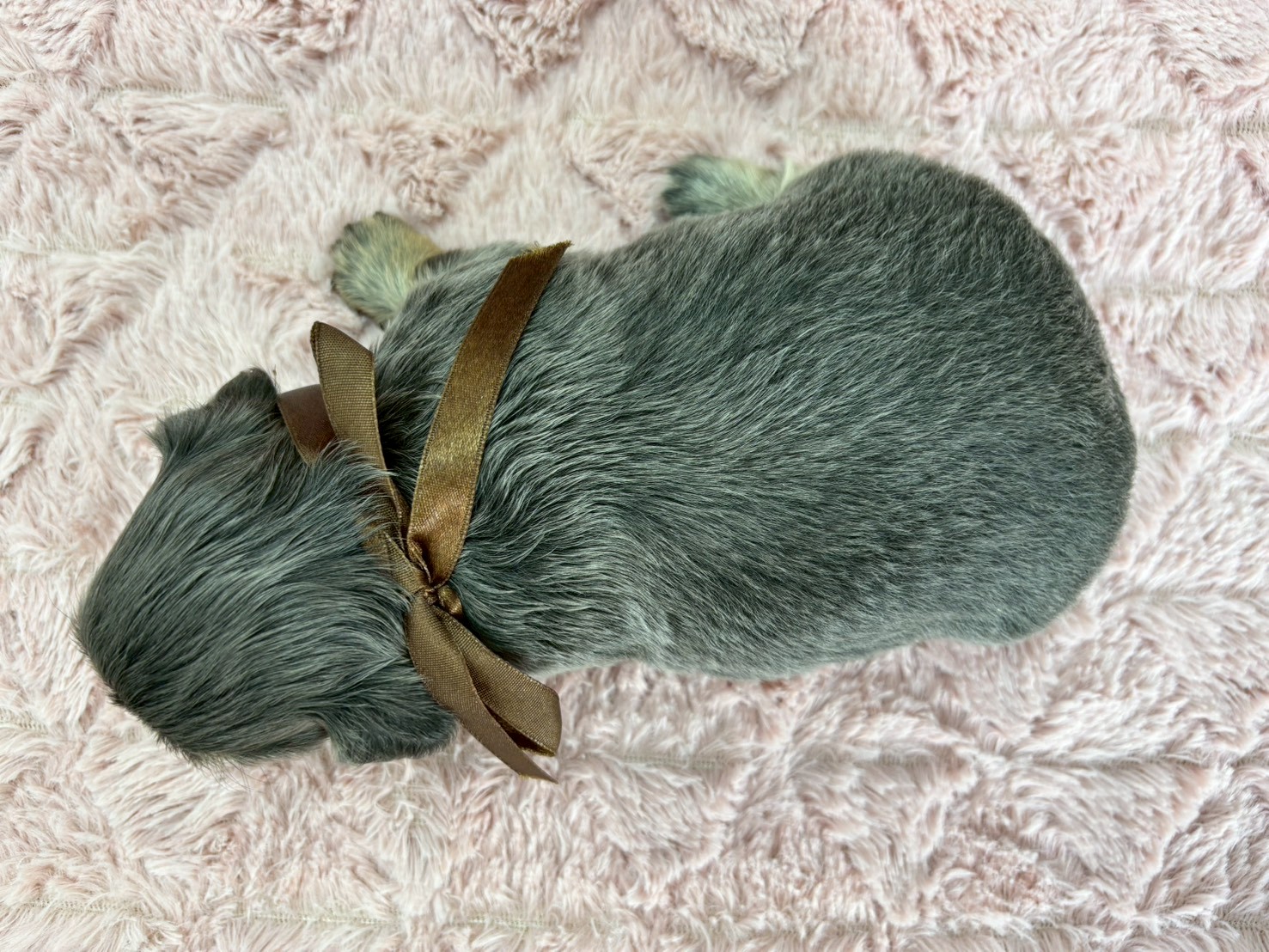 赤ちゃん写真2-3