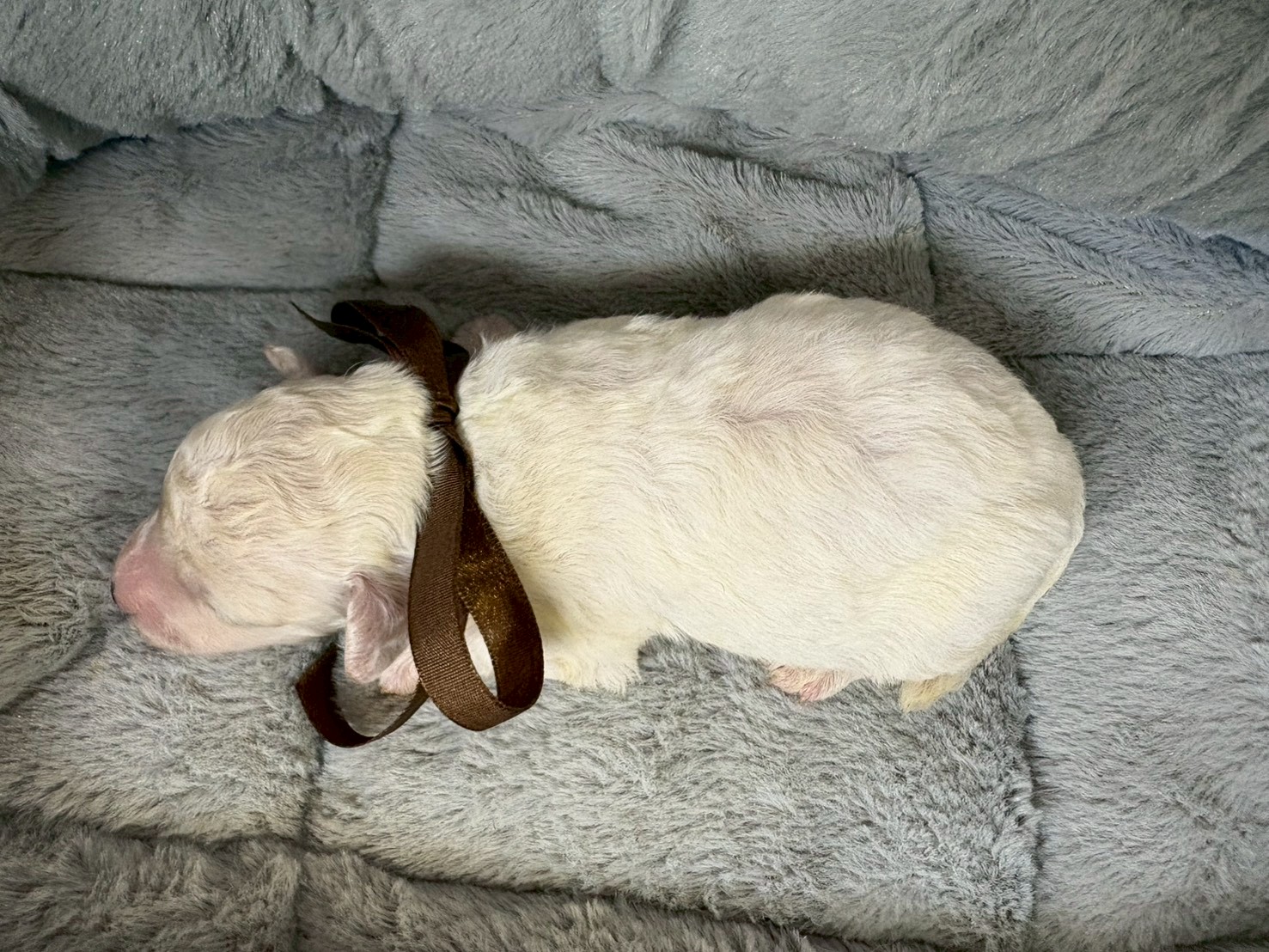 赤ちゃん写真1-3