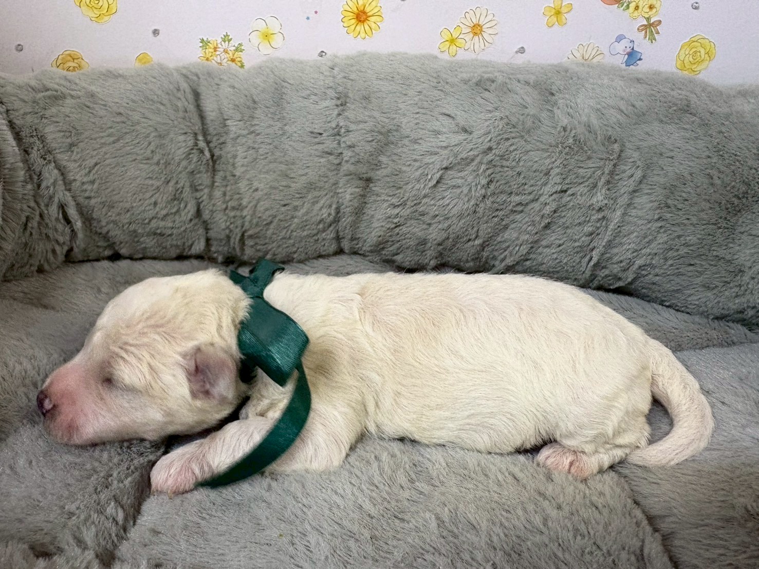 赤ちゃん写真1-2