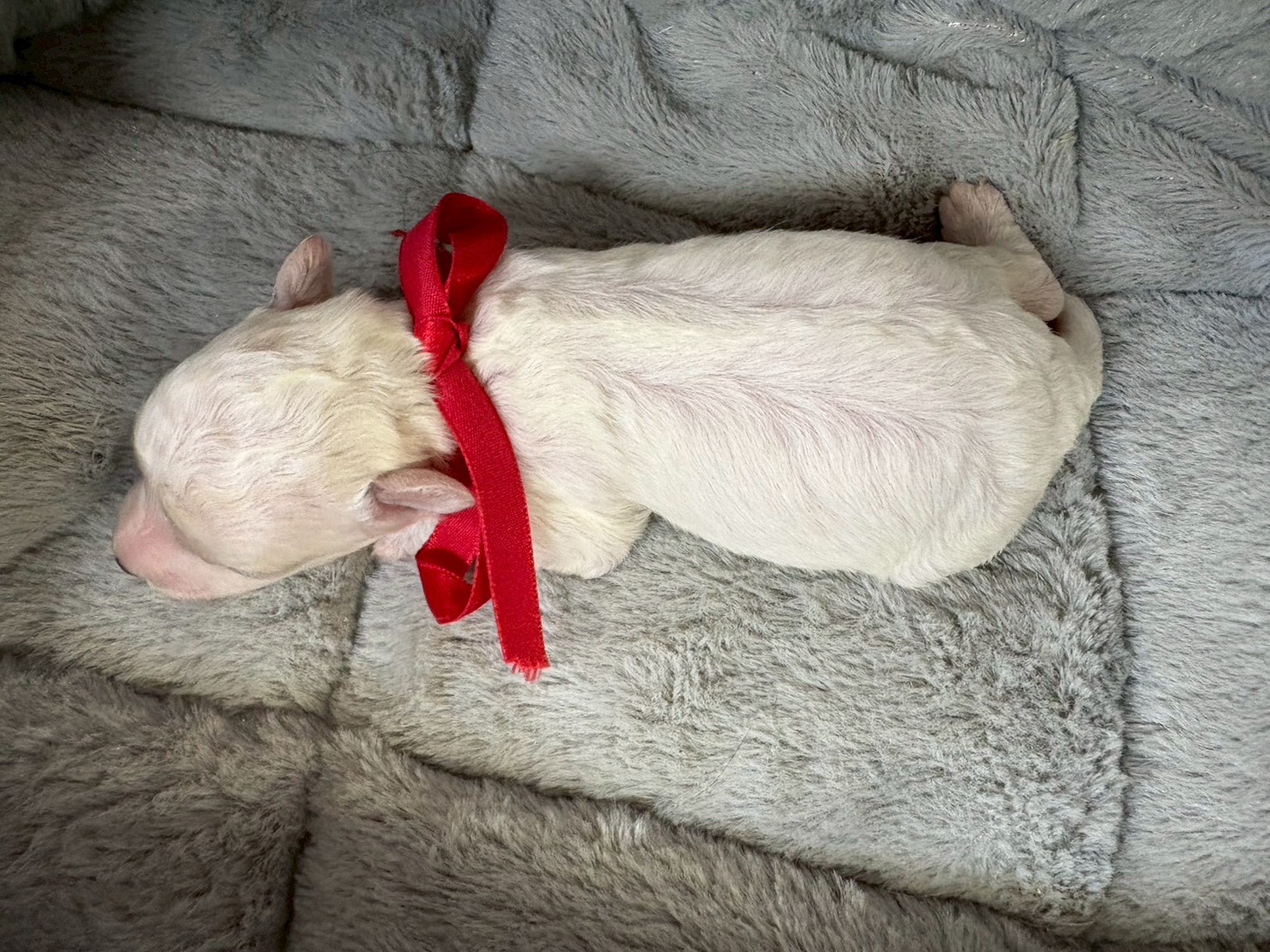 赤ちゃん写真1-3