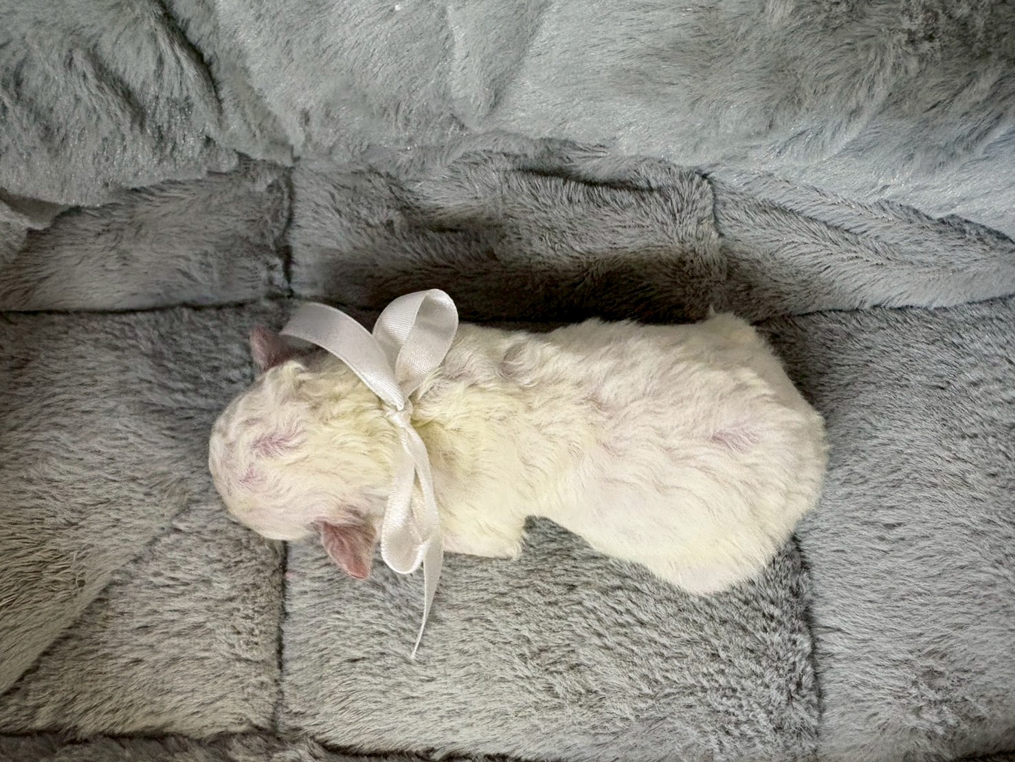 赤ちゃん写真1-3