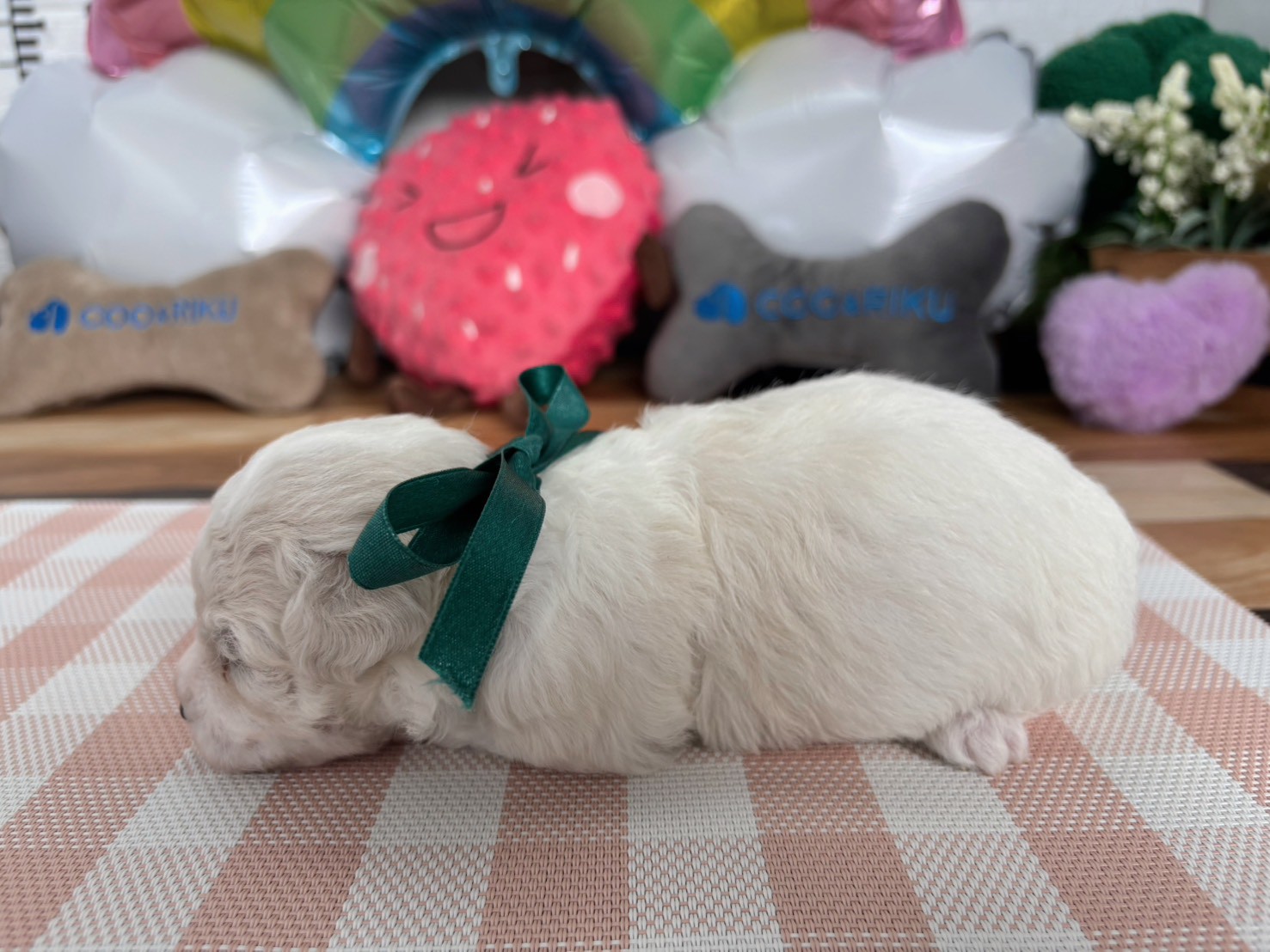 赤ちゃん写真2-2