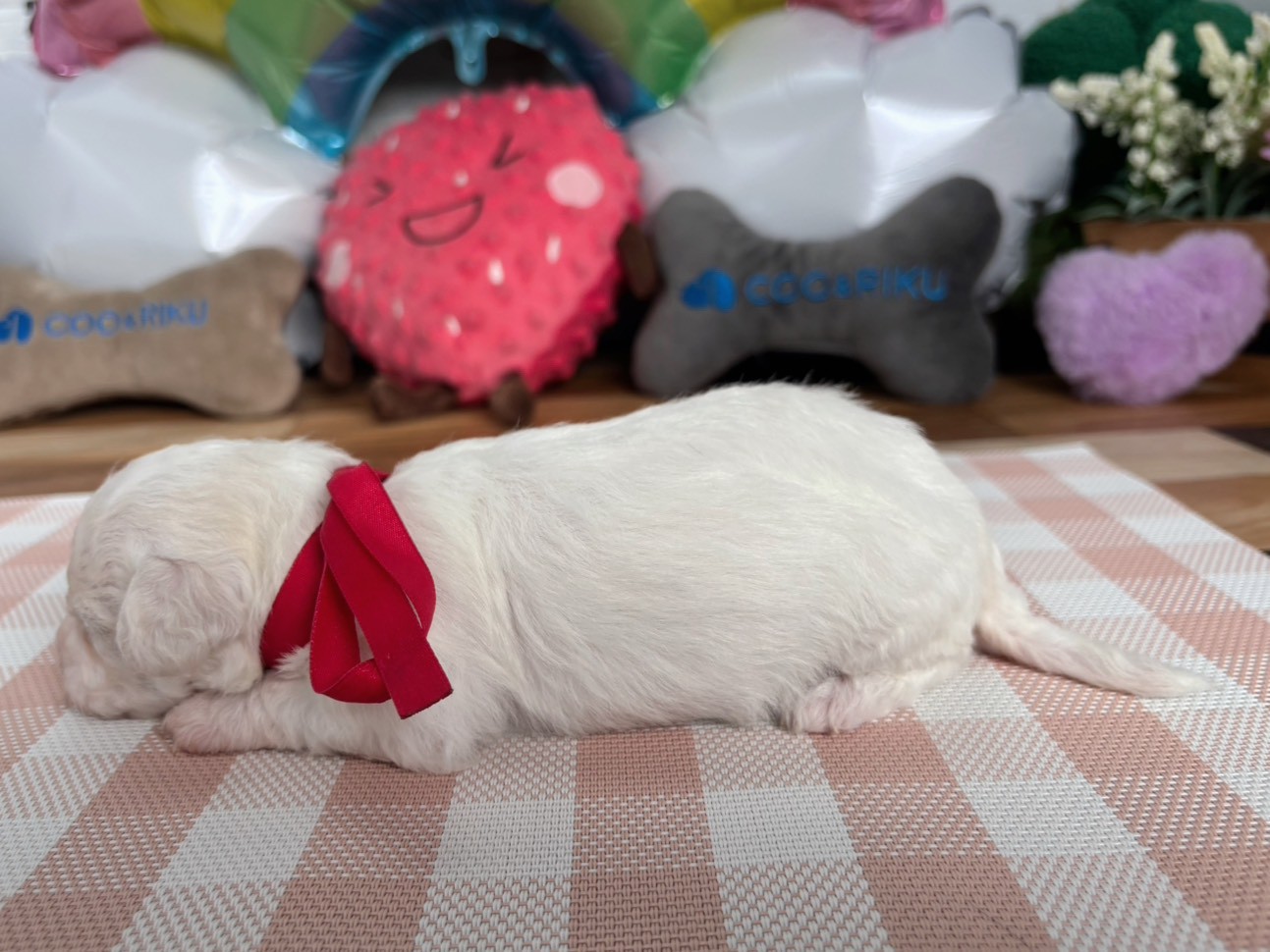 赤ちゃん写真2-2