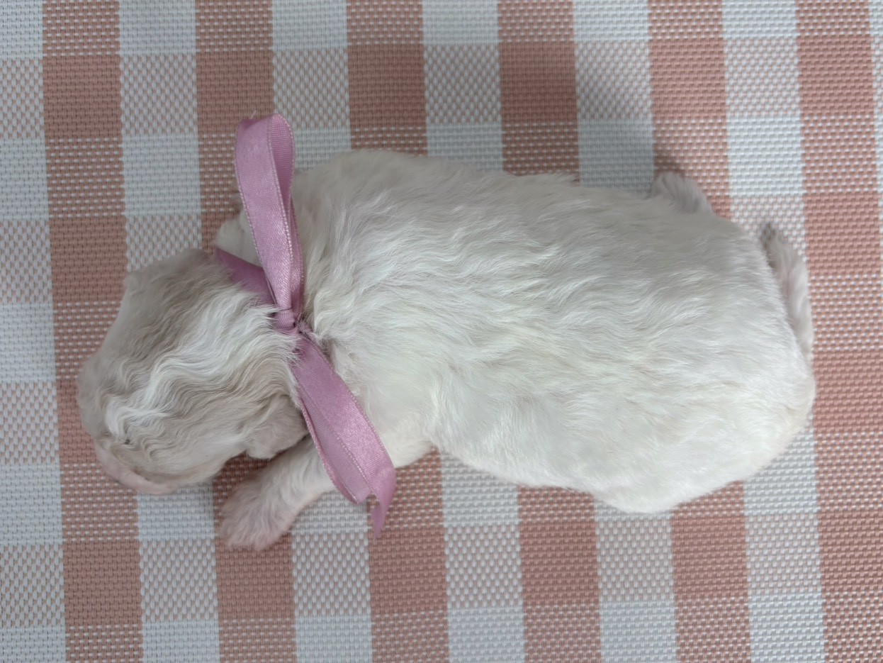 赤ちゃん写真2-3