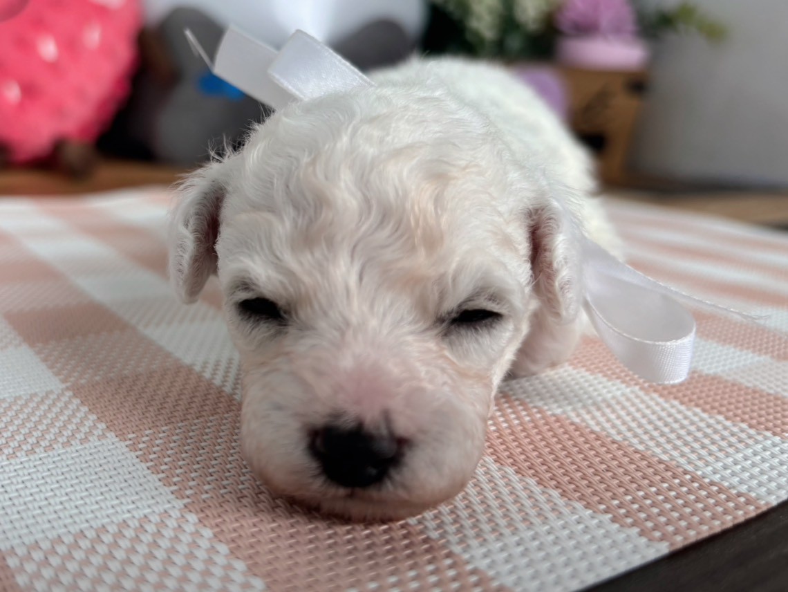 赤ちゃん写真2-1