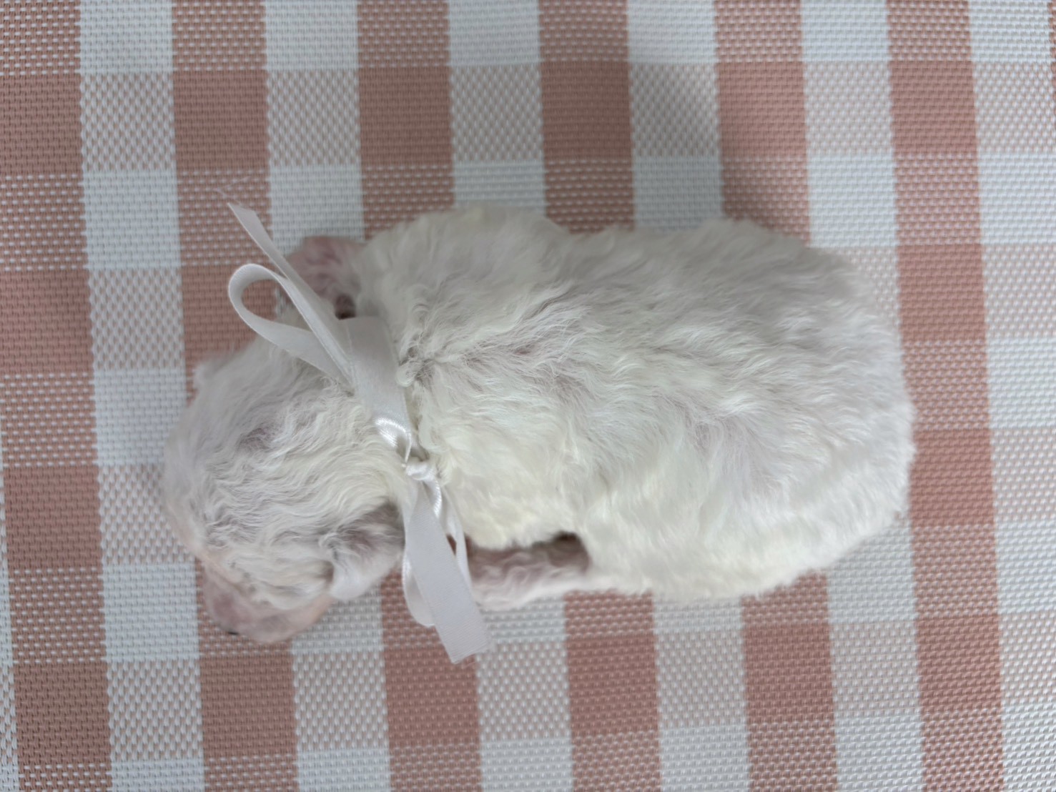 赤ちゃん写真2-3