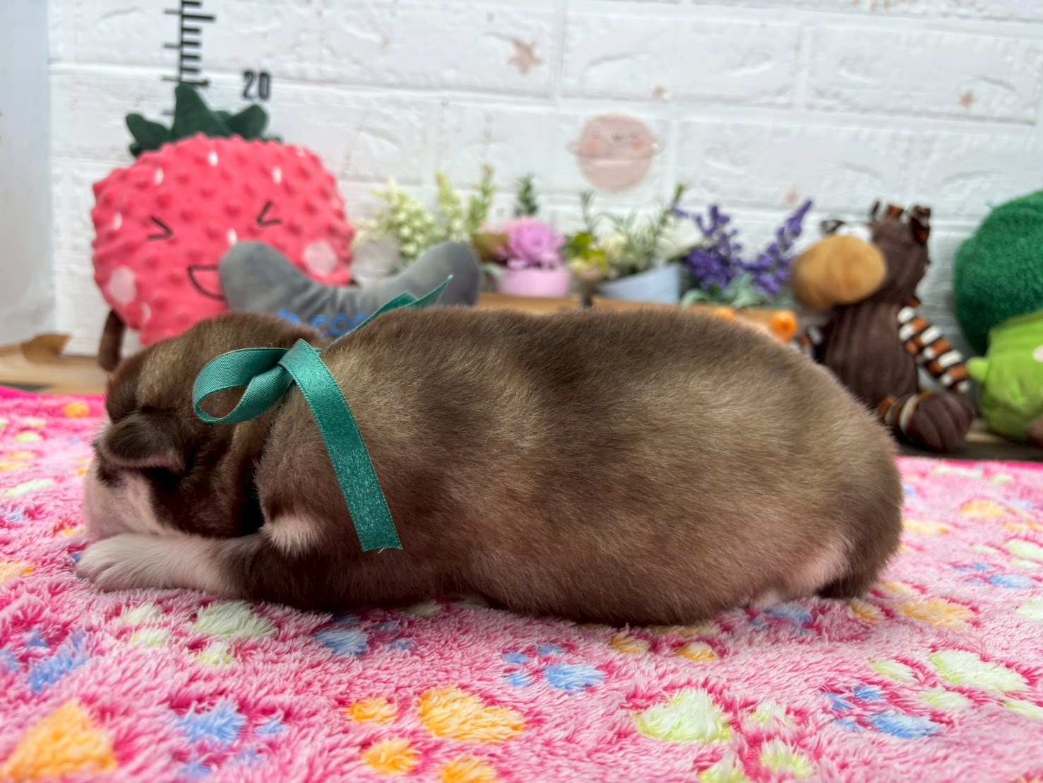 赤ちゃん写真1-2
