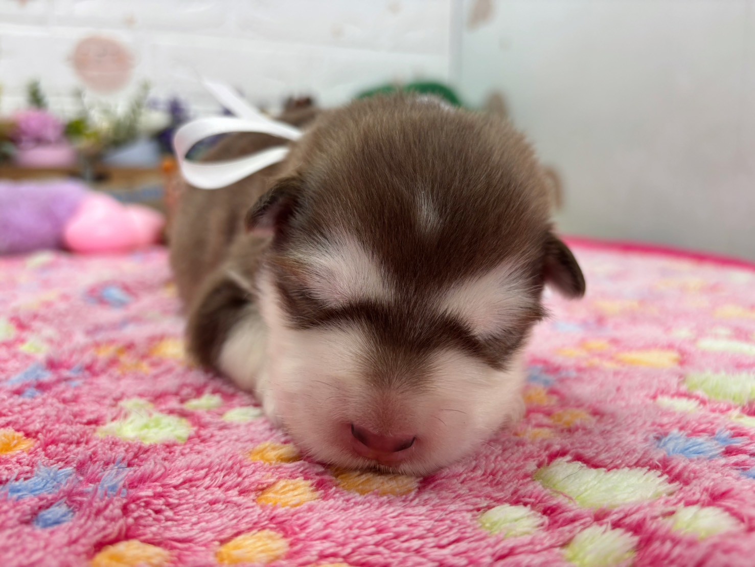 赤ちゃん写真1-1