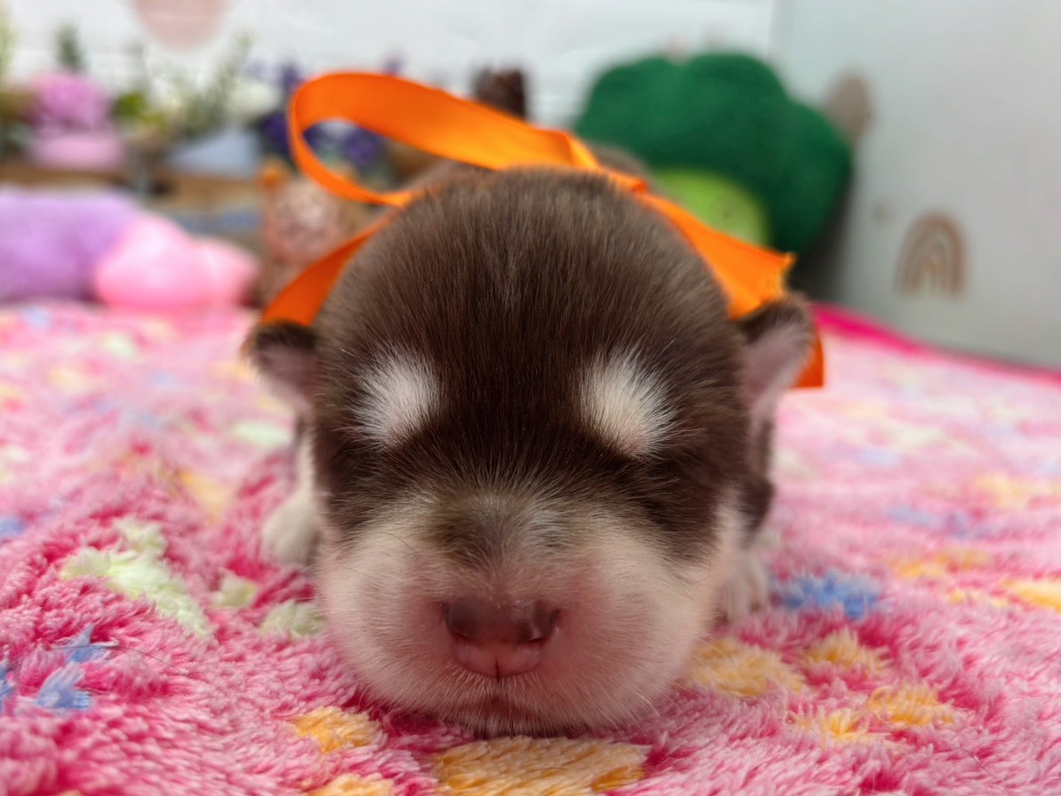 赤ちゃん写真1-1