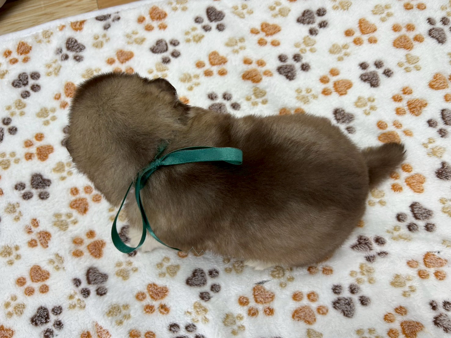 赤ちゃん写真2-3