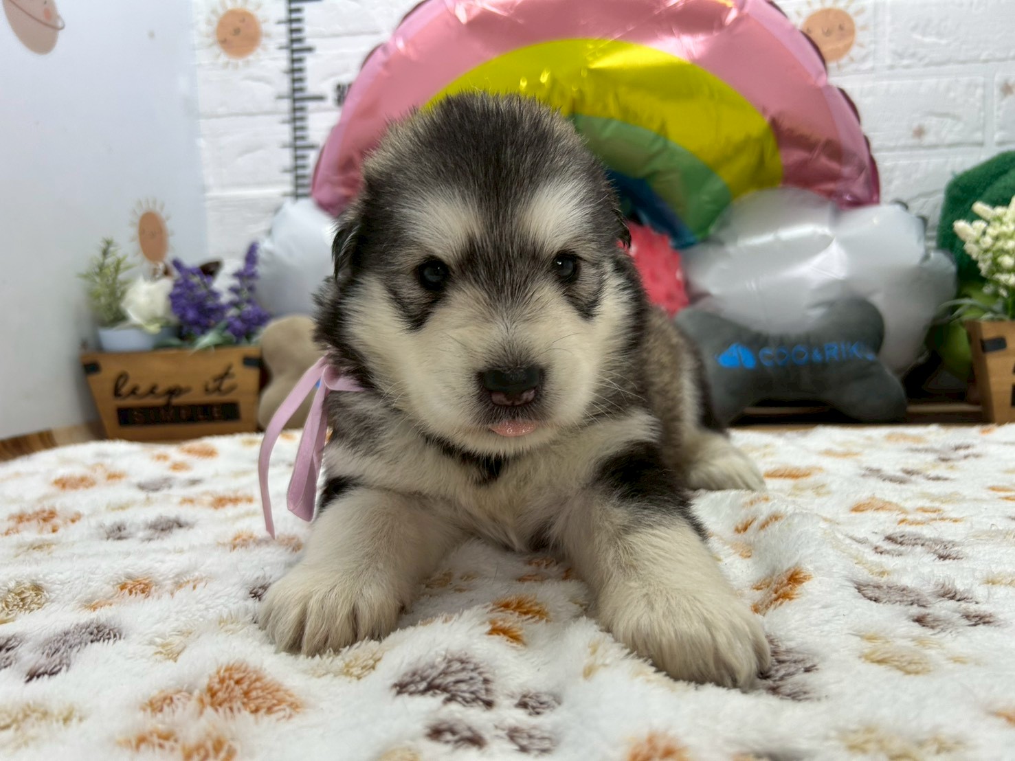 赤ちゃん写真2-1