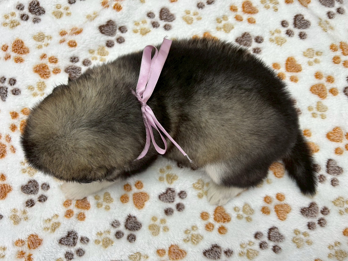 赤ちゃん写真2-3