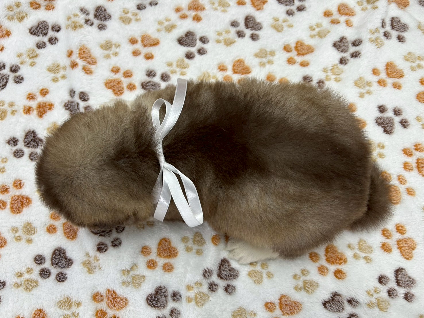赤ちゃん写真2-3