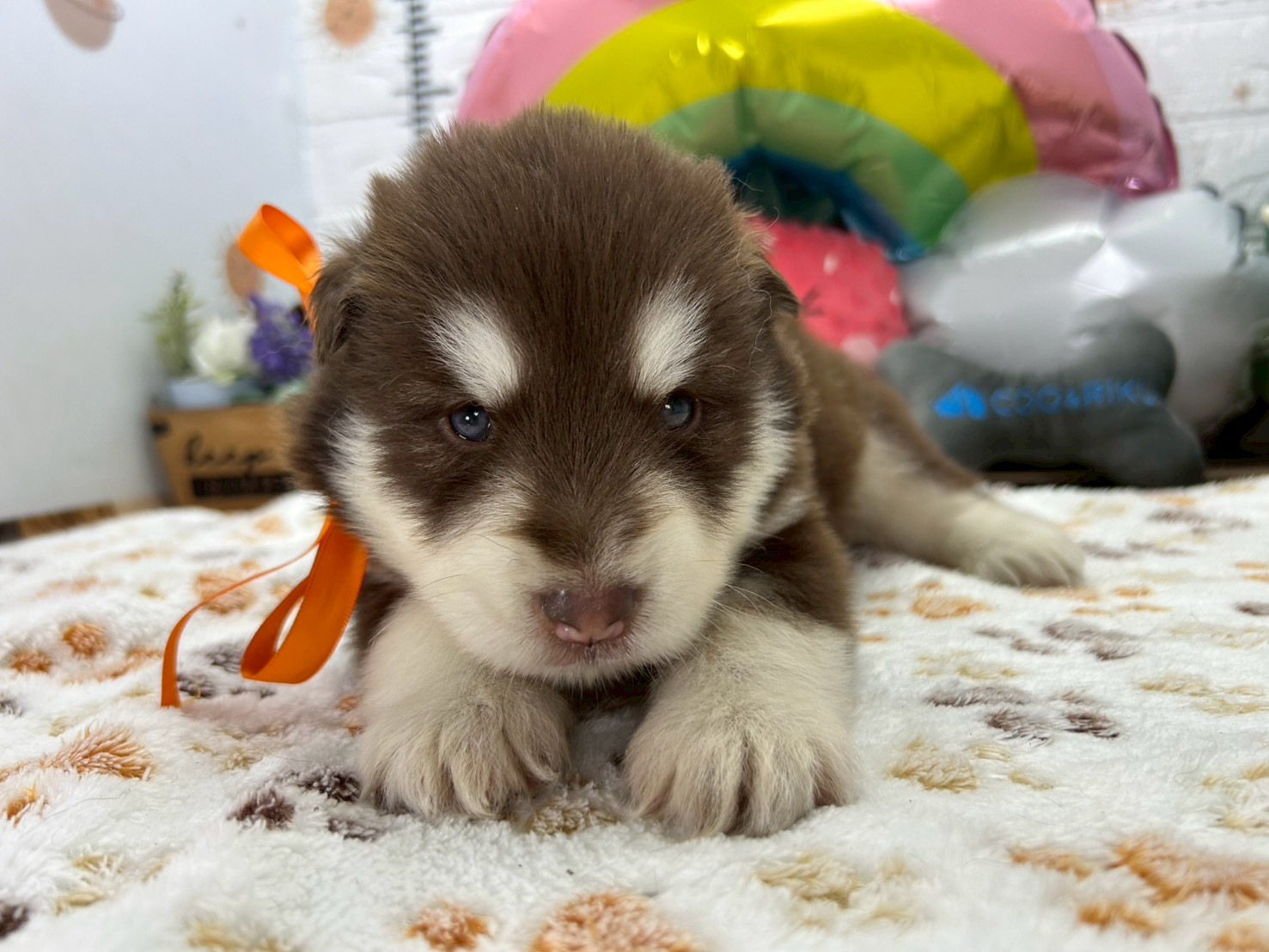 赤ちゃん写真2-1