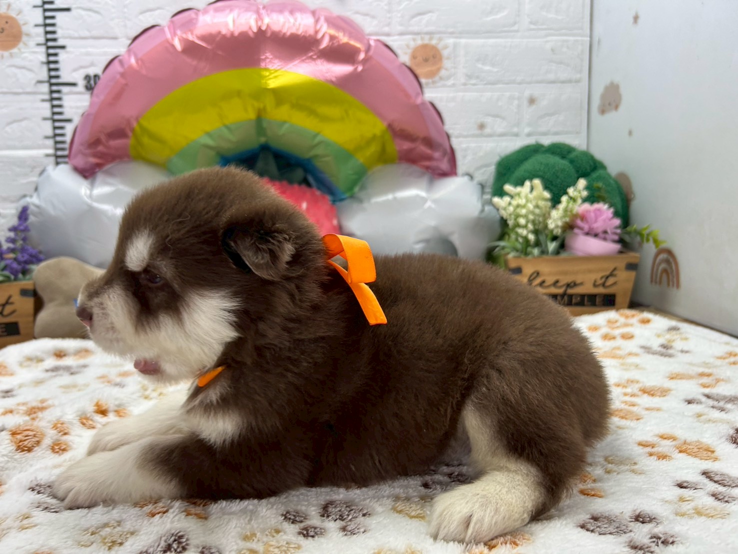 赤ちゃん写真2-2