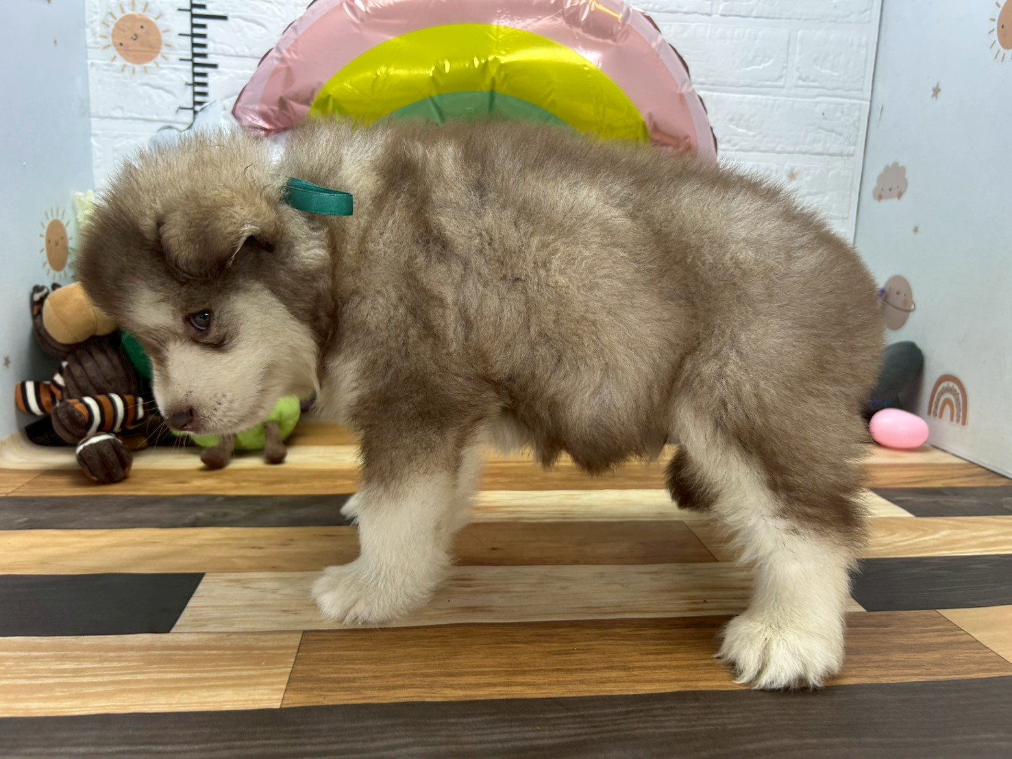 赤ちゃん写真3-2