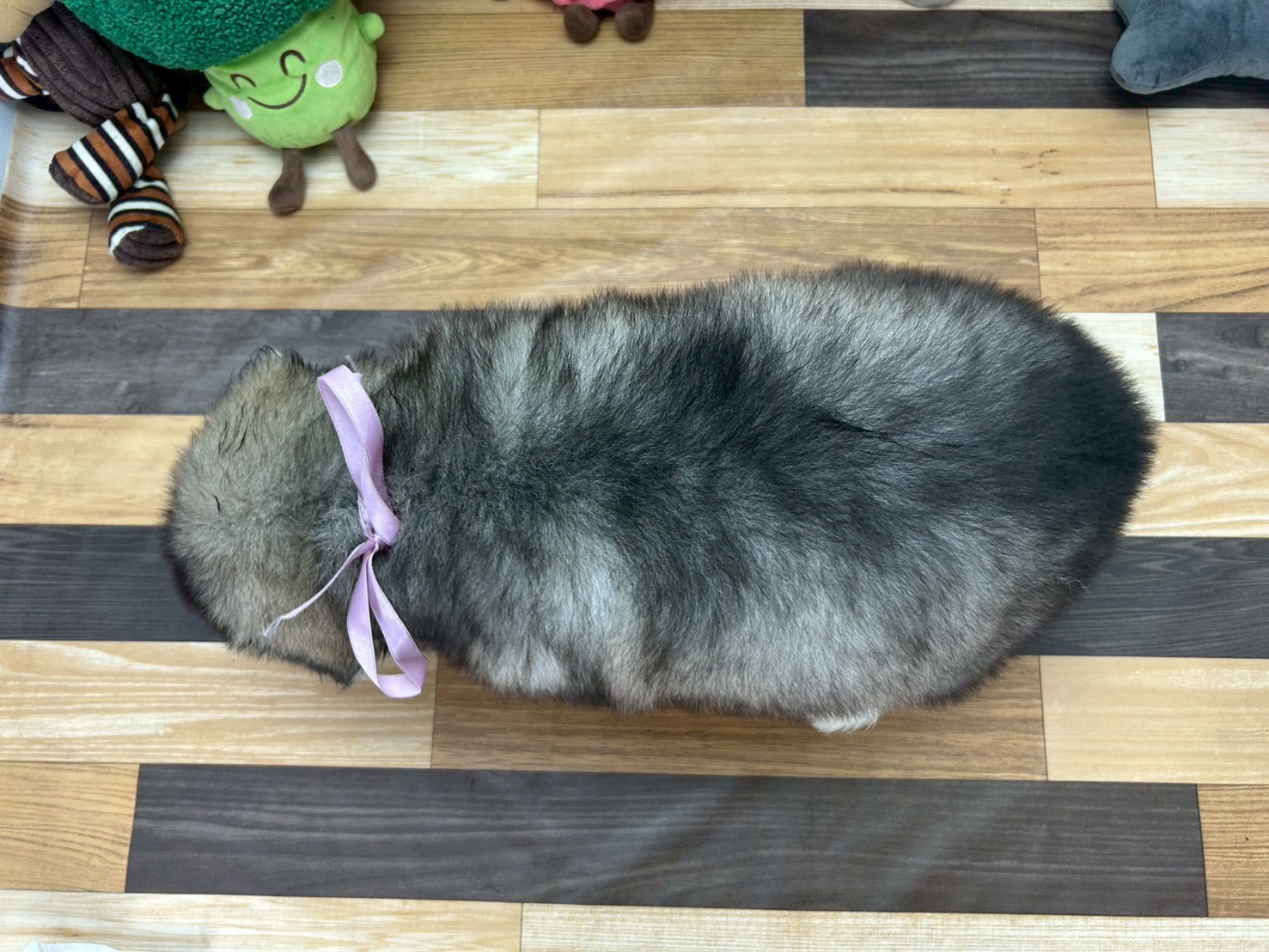 赤ちゃん写真3-3