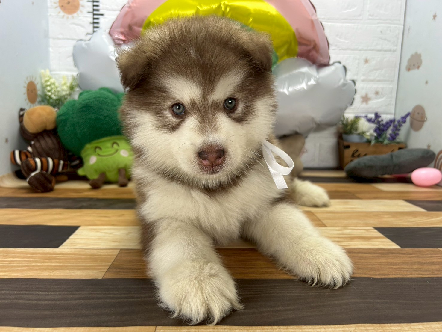 赤ちゃん写真3-1