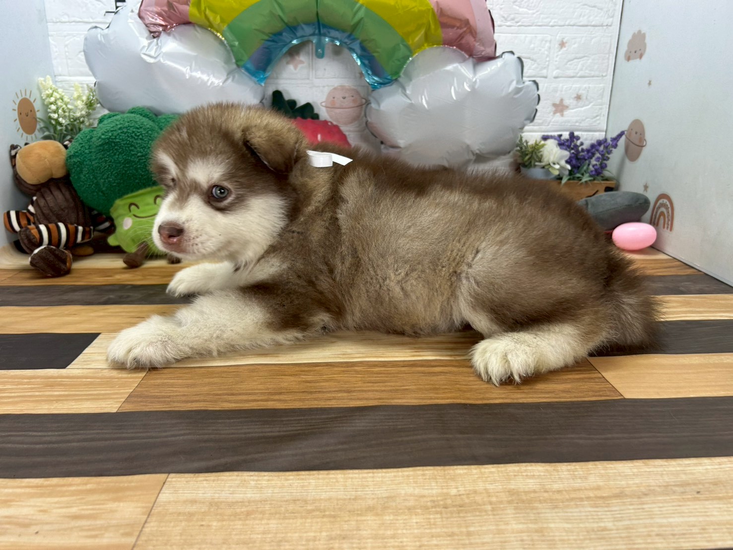 赤ちゃん写真3-2