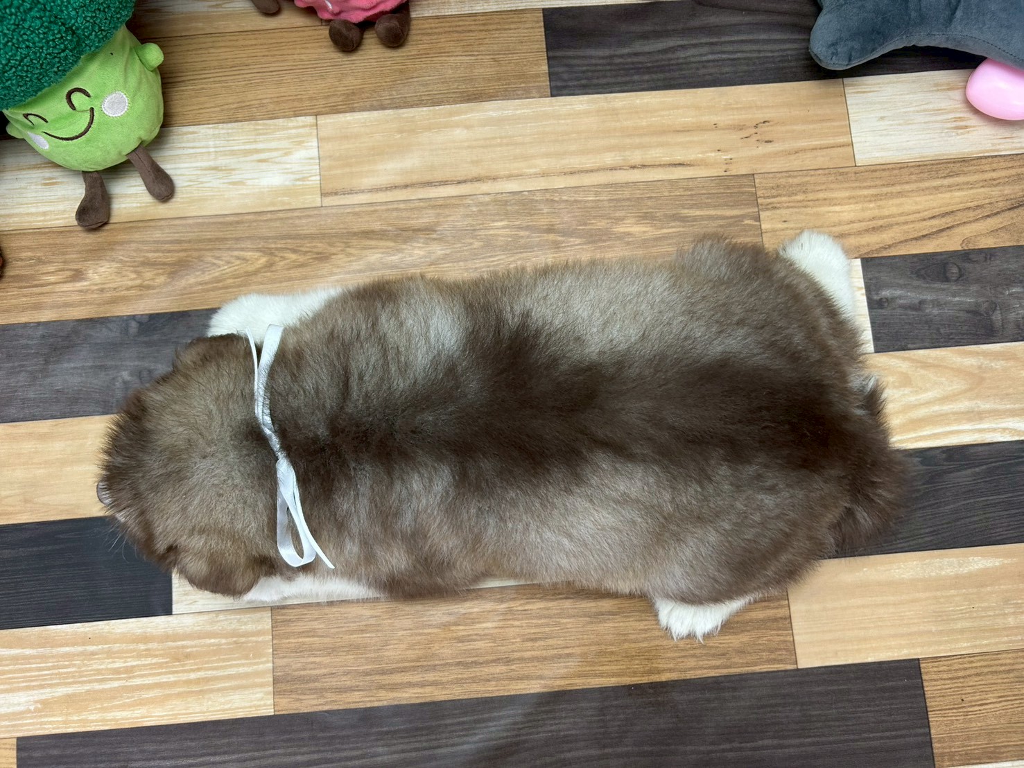 赤ちゃん写真3-3