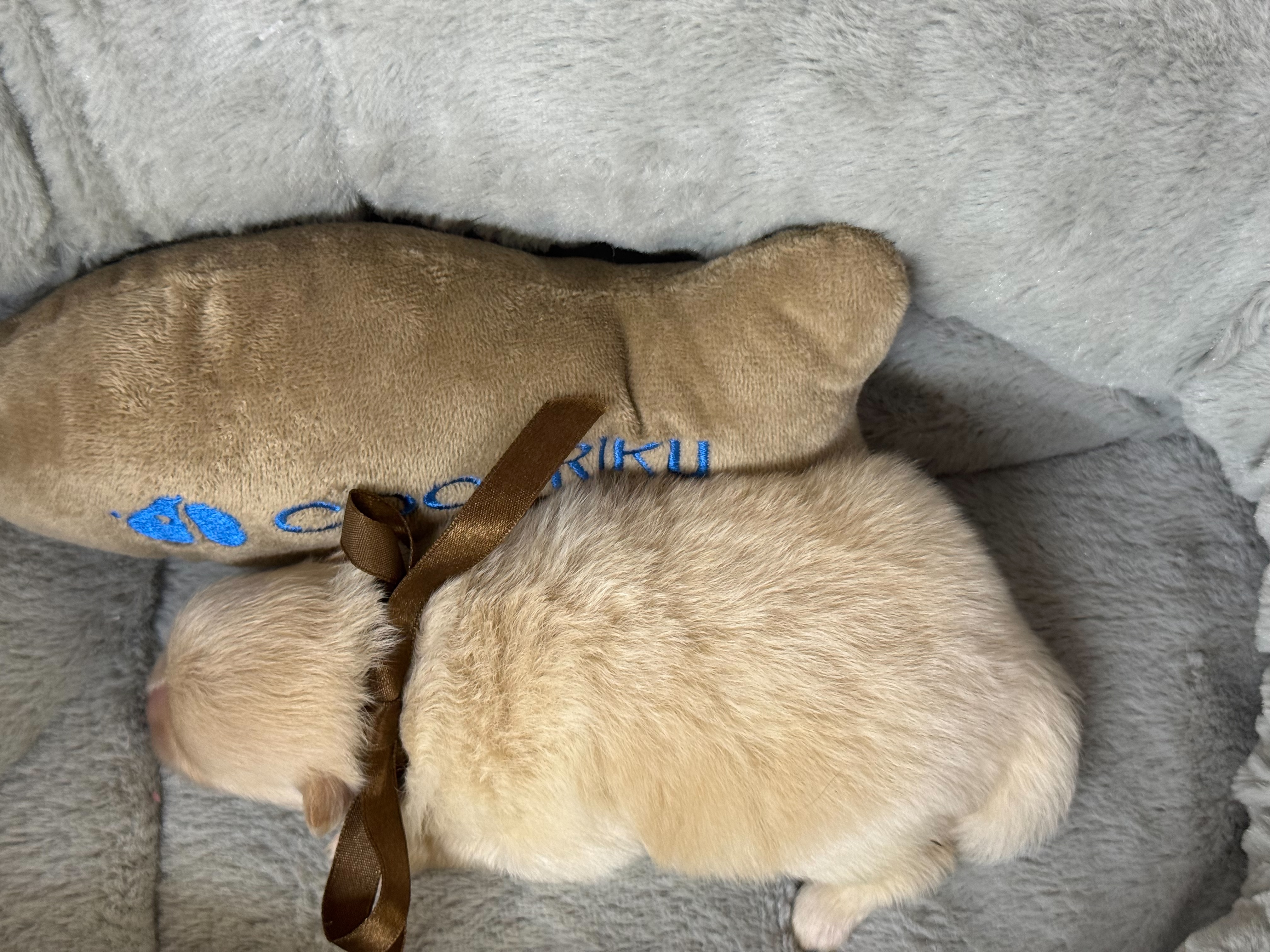 赤ちゃん写真1-3
