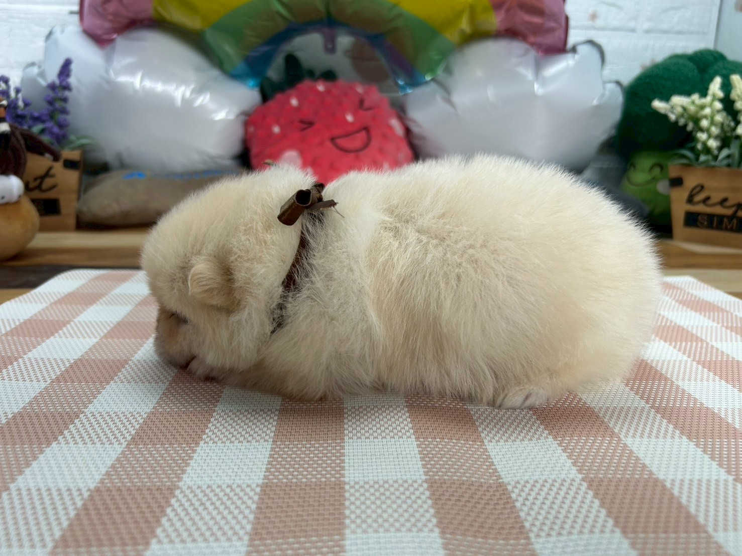赤ちゃん写真2-2