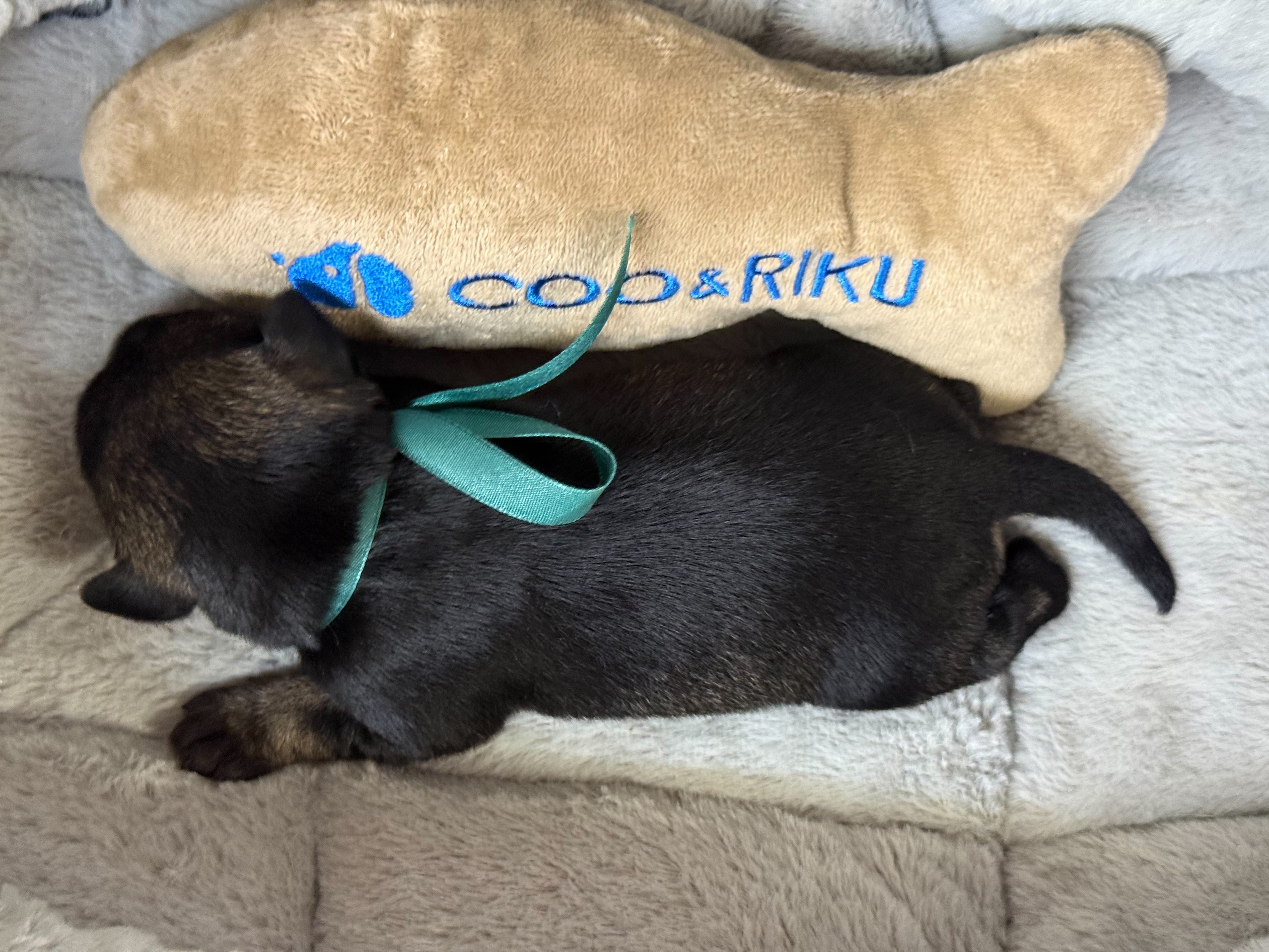 赤ちゃん写真1-3