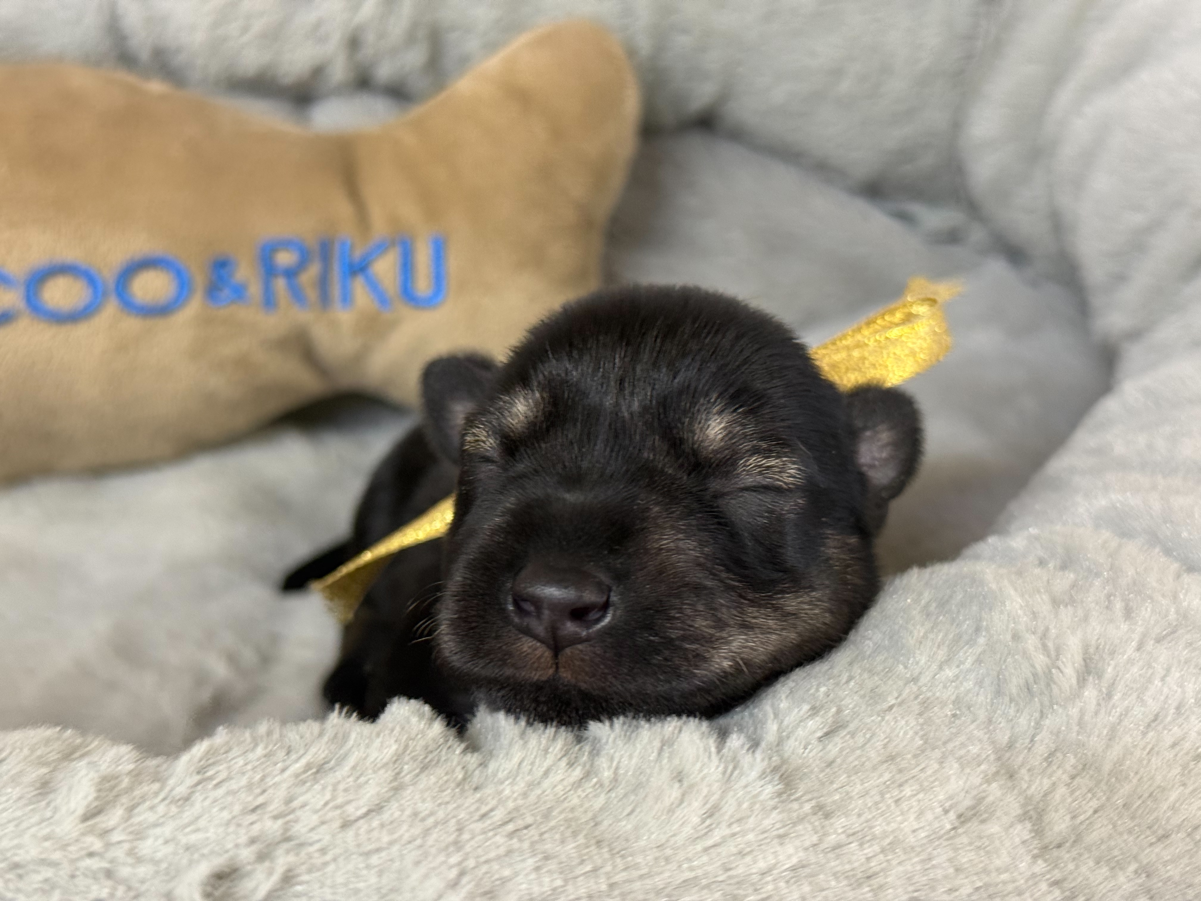赤ちゃん写真1-1