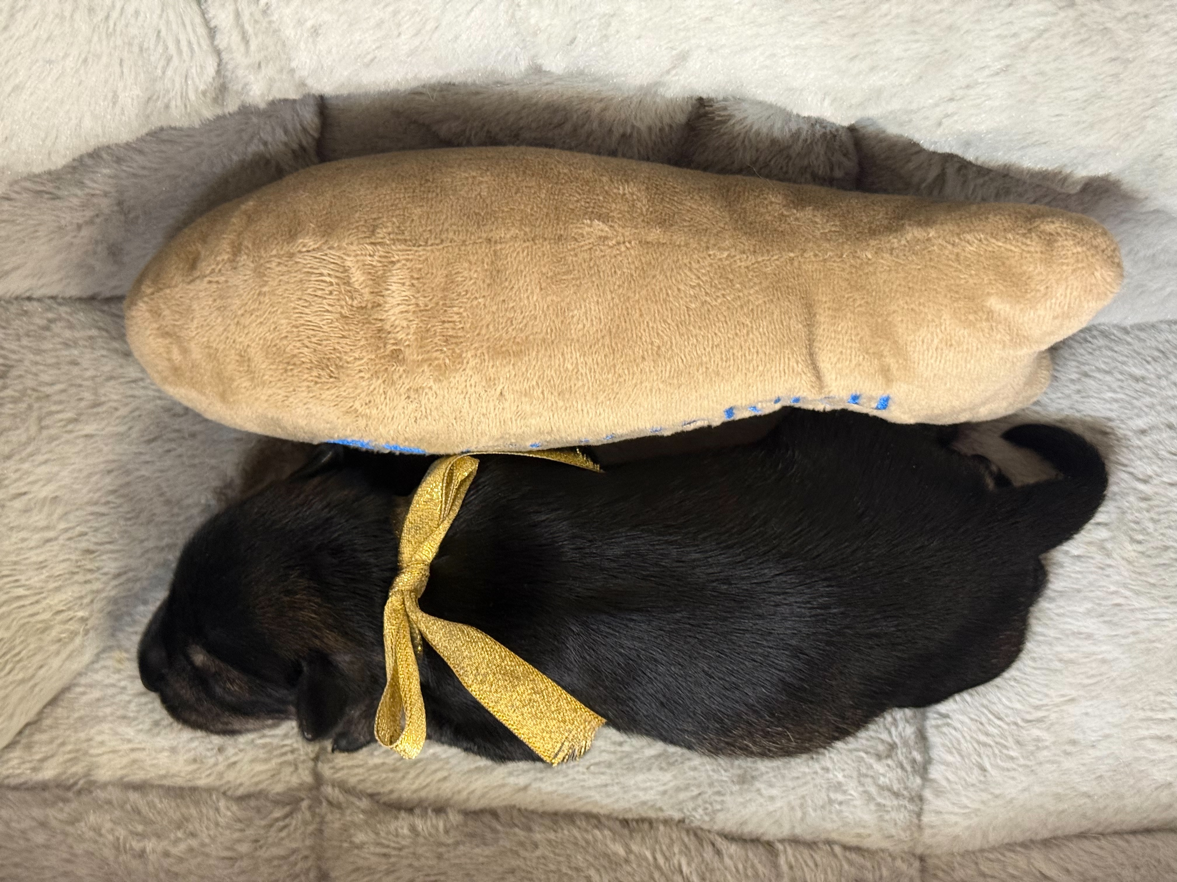赤ちゃん写真1-3