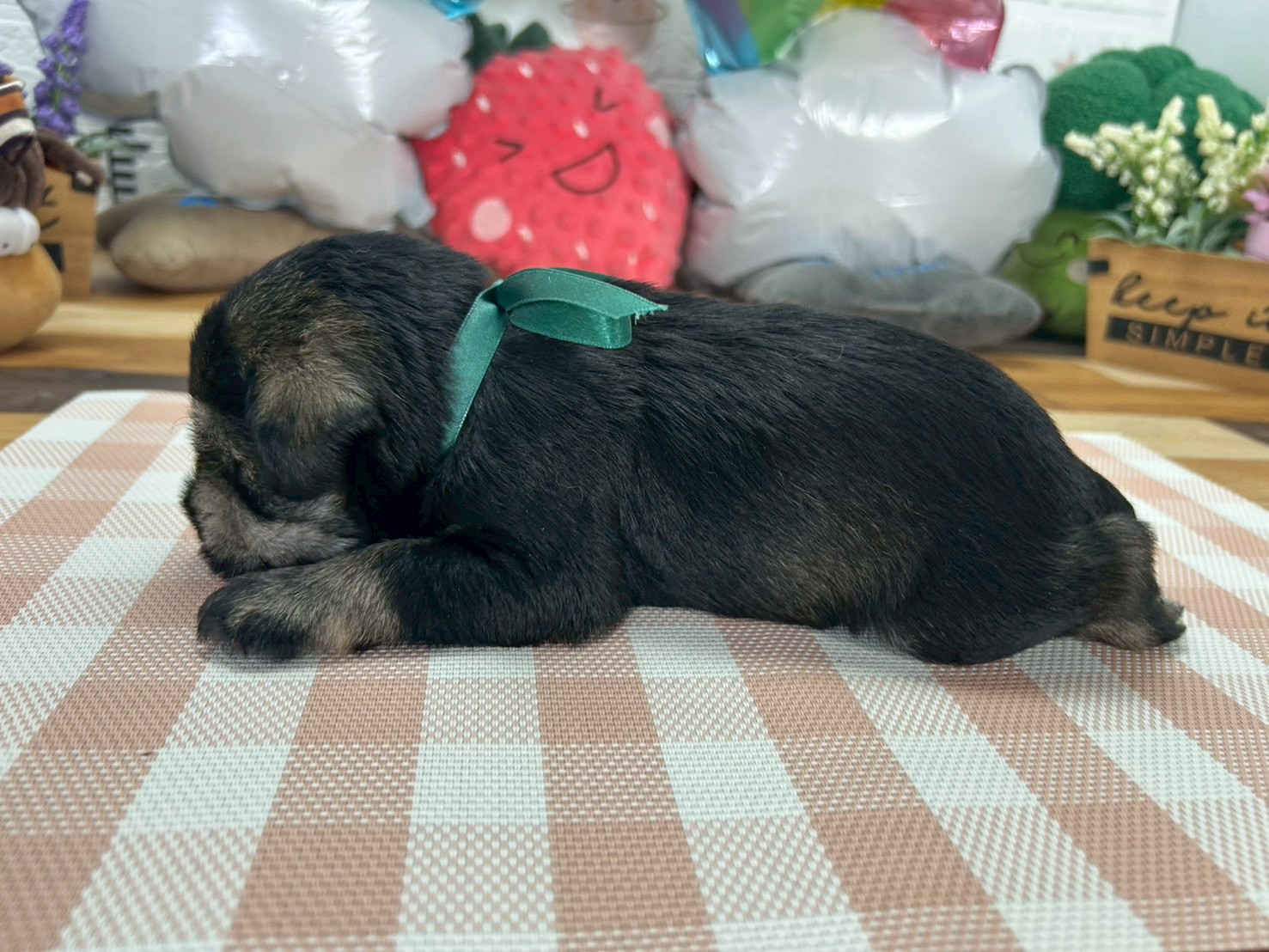 赤ちゃん写真2-2