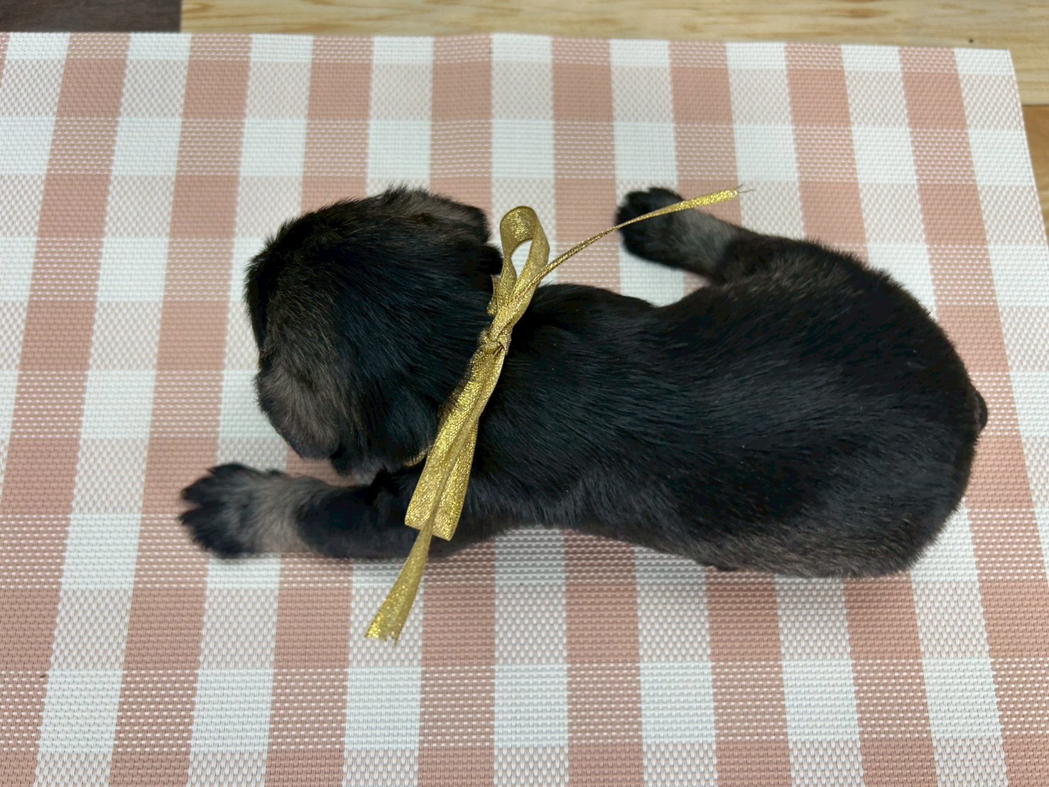赤ちゃん写真2-3