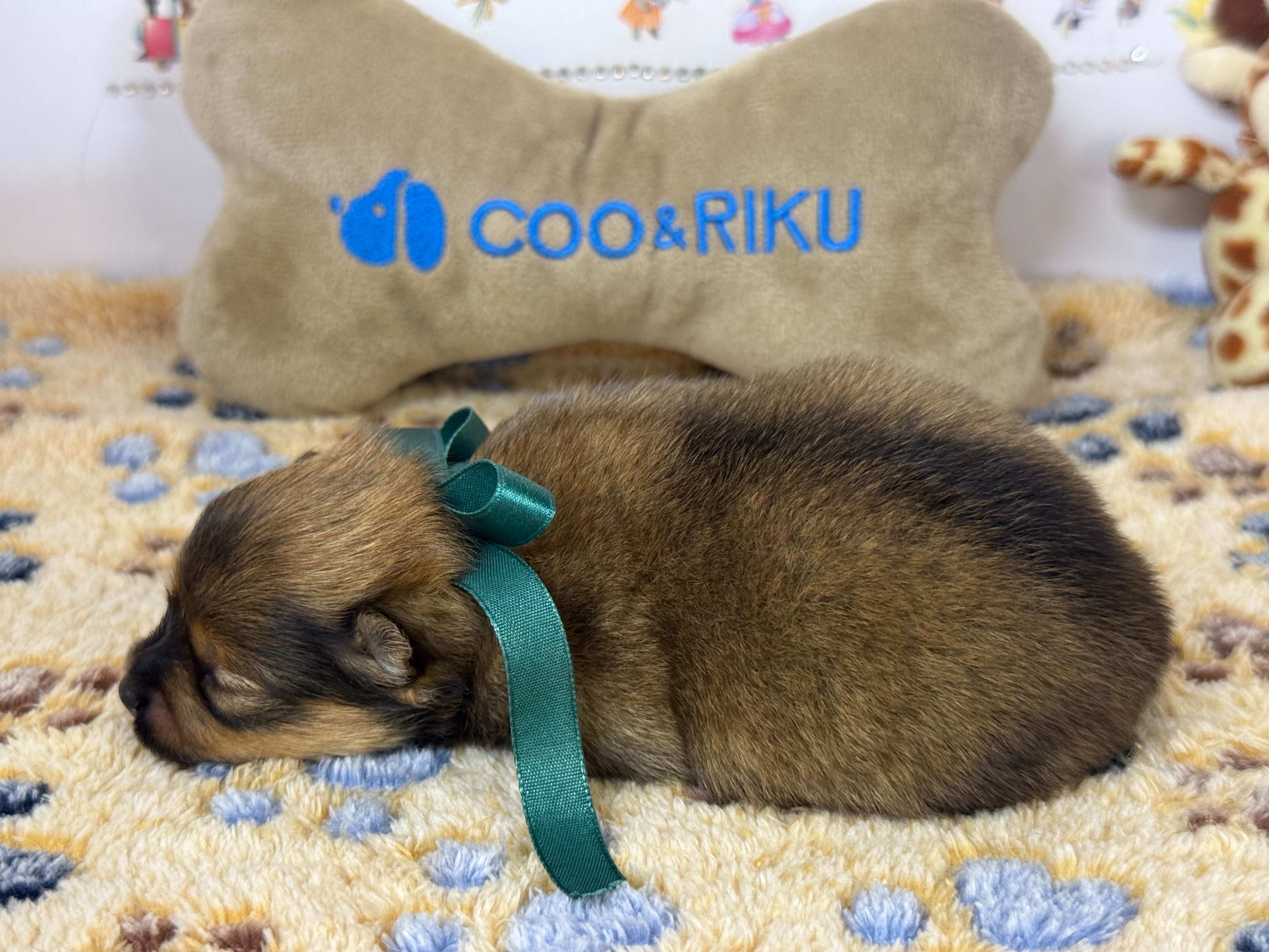 赤ちゃん写真1-2