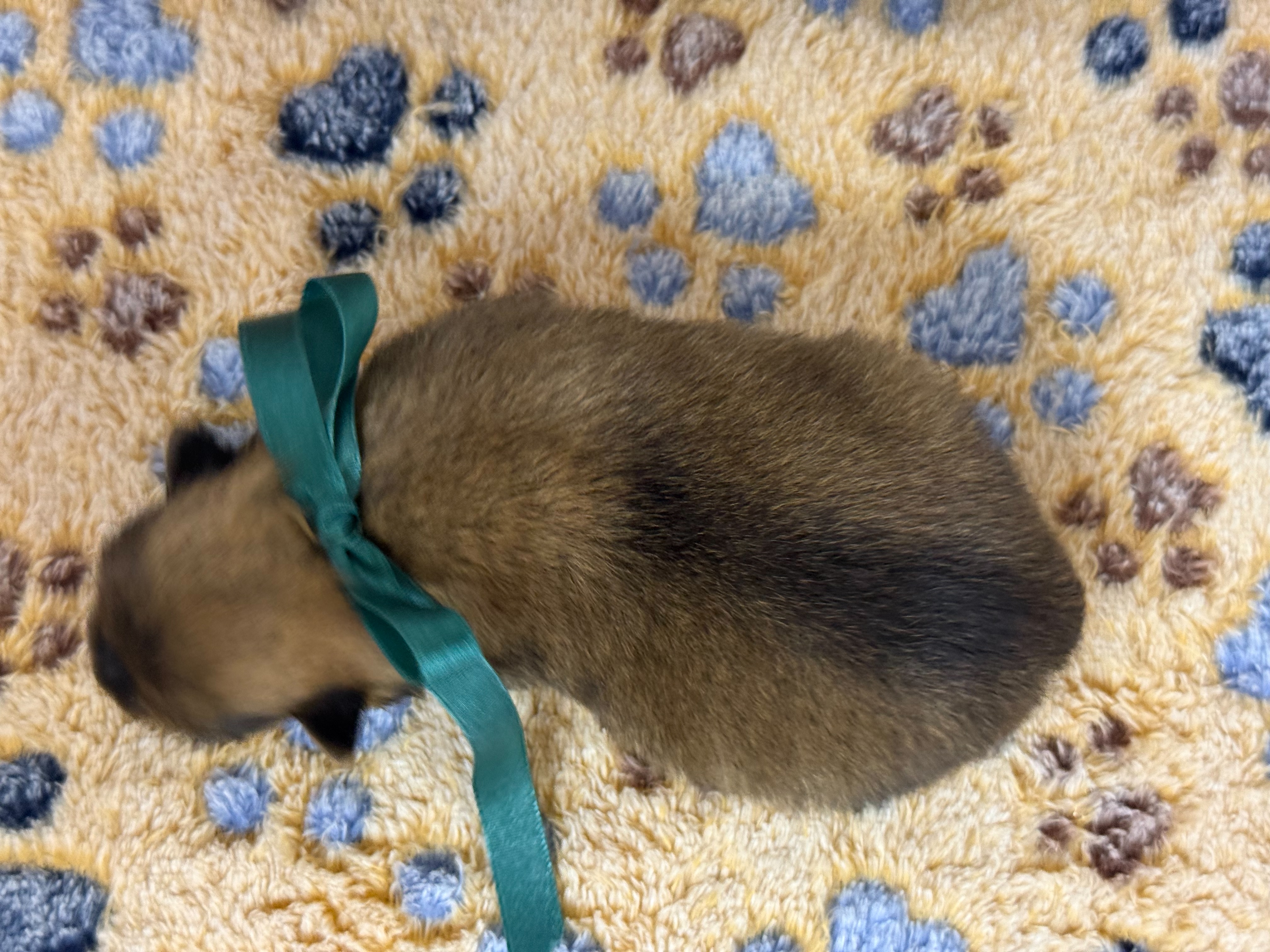 赤ちゃん写真1-3