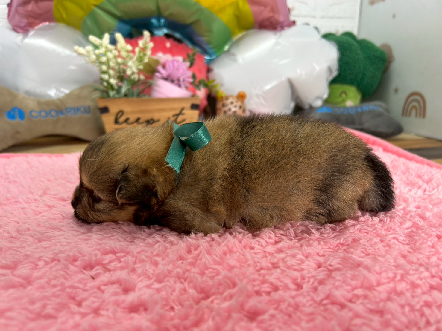 赤ちゃん写真2-2