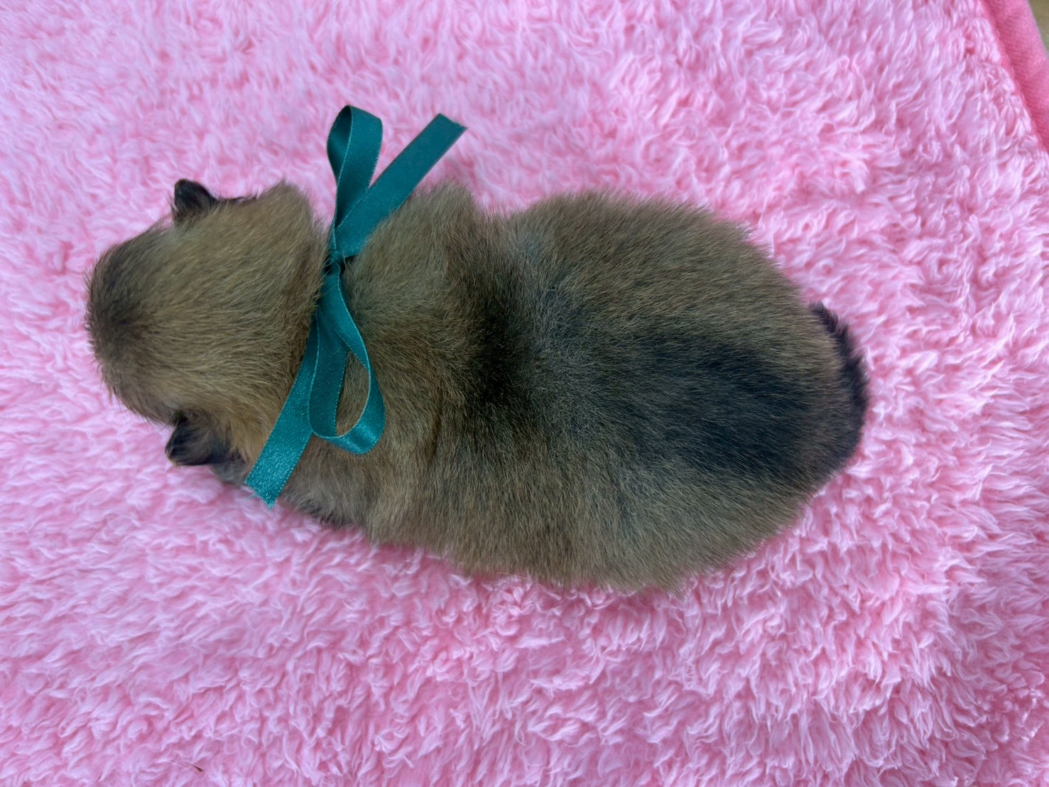 赤ちゃん写真2-3