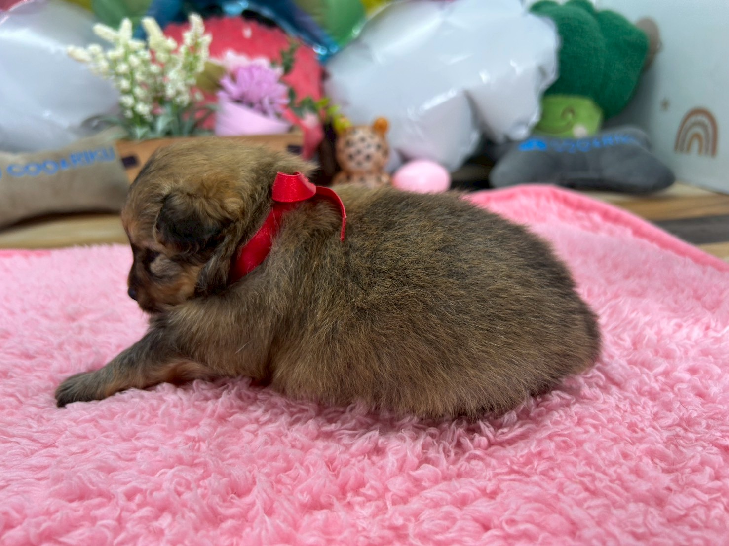 赤ちゃん写真2-2