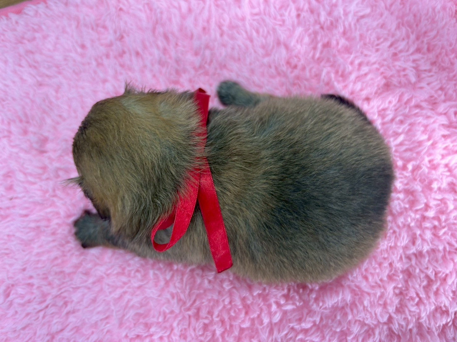 赤ちゃん写真2-3