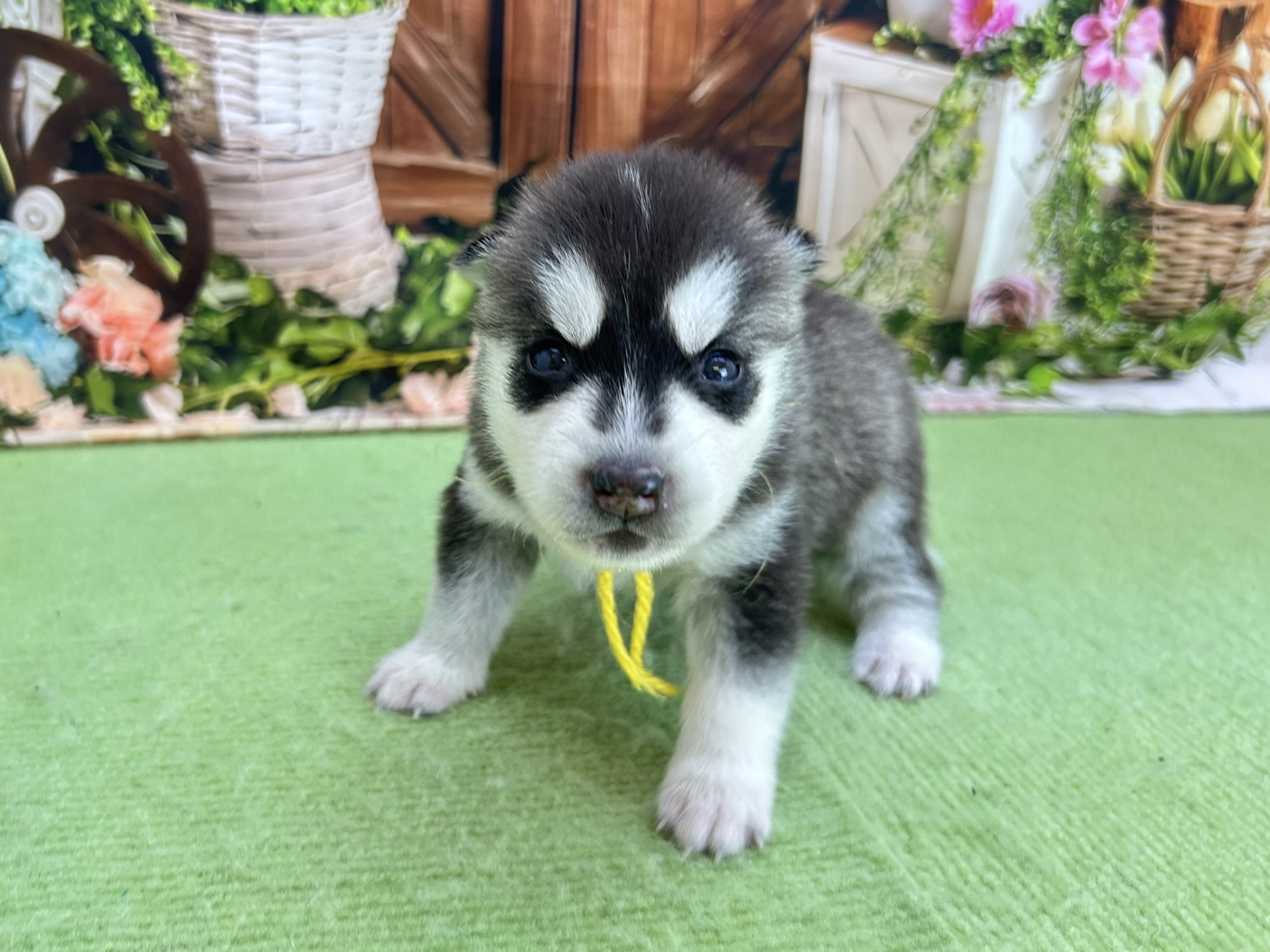 赤ちゃん写真1-1