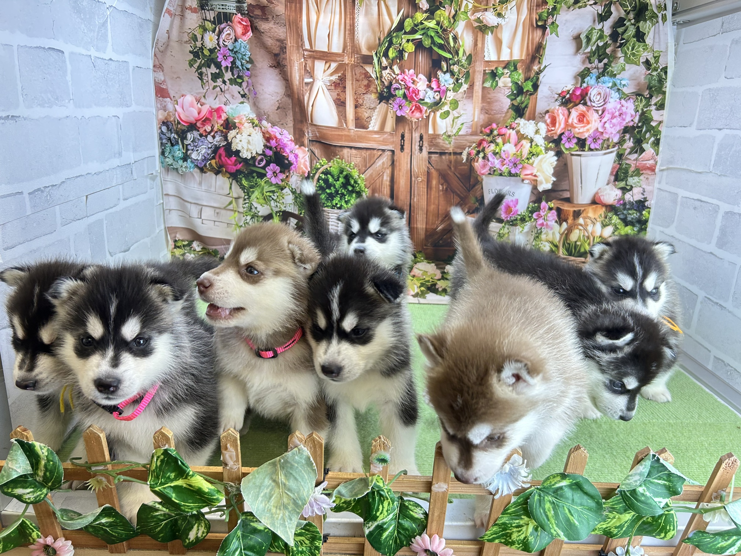 赤ちゃん写真2-3