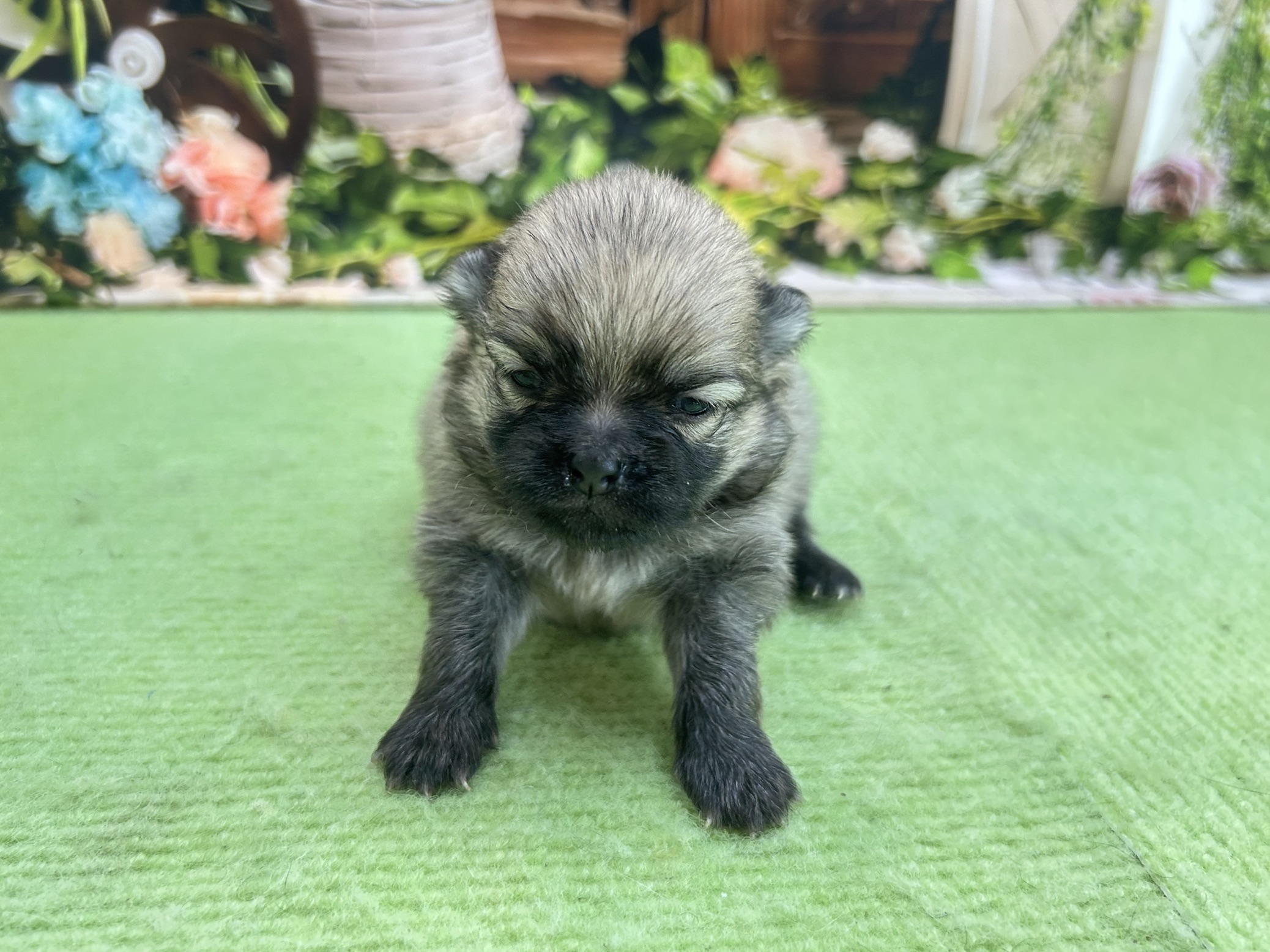 赤ちゃん写真1-1