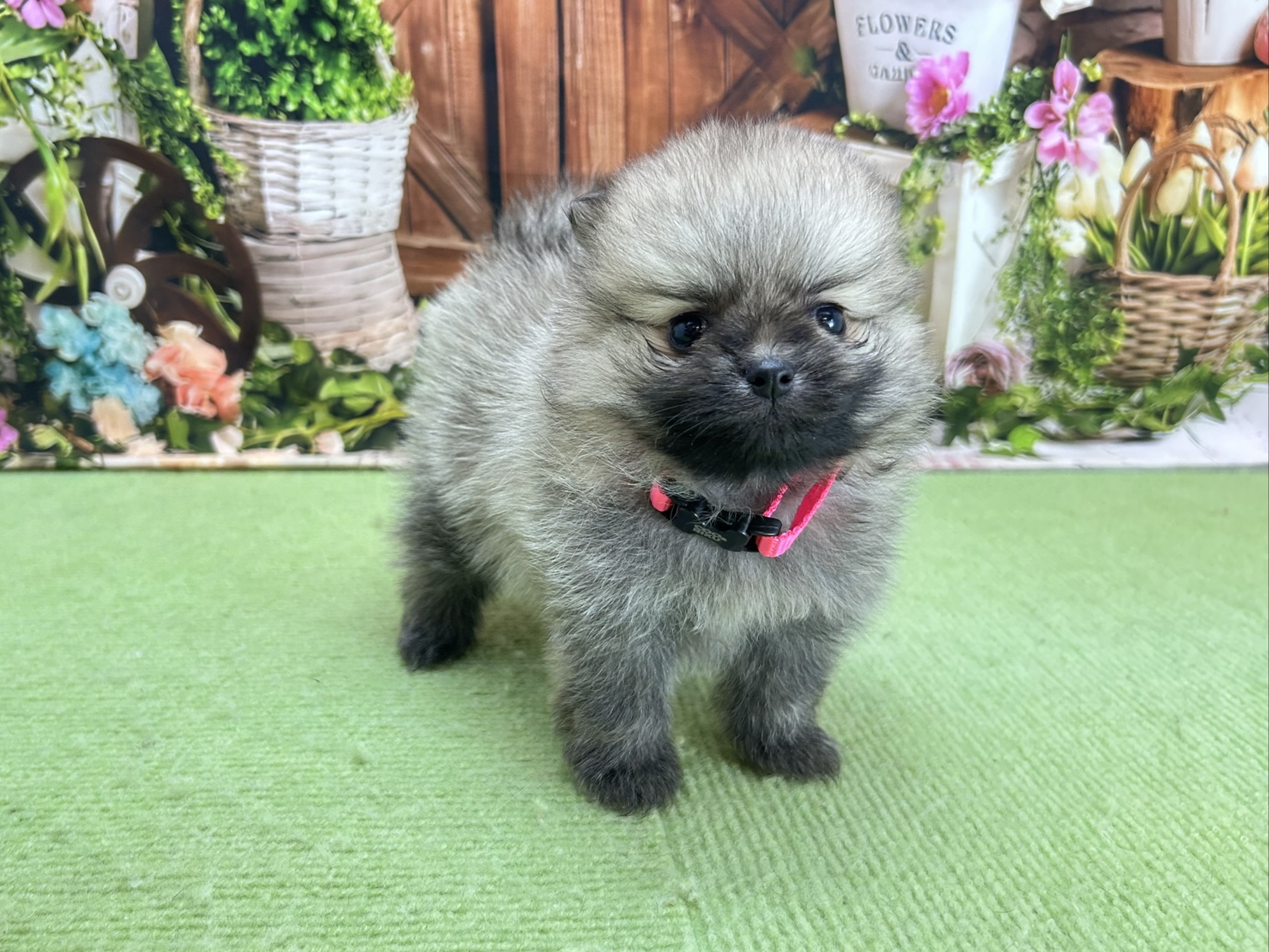 赤ちゃん写真2-1