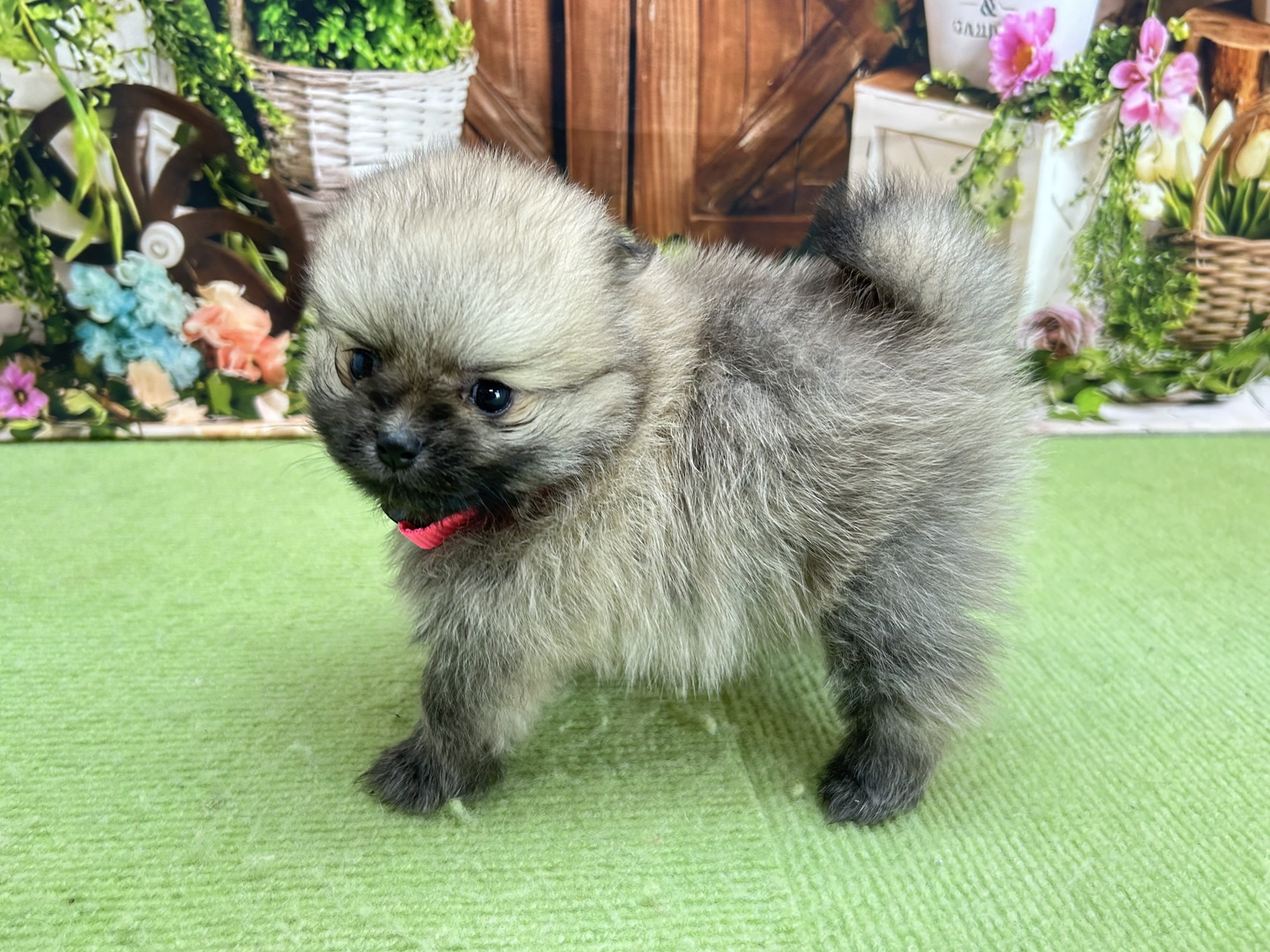 赤ちゃん写真2-2