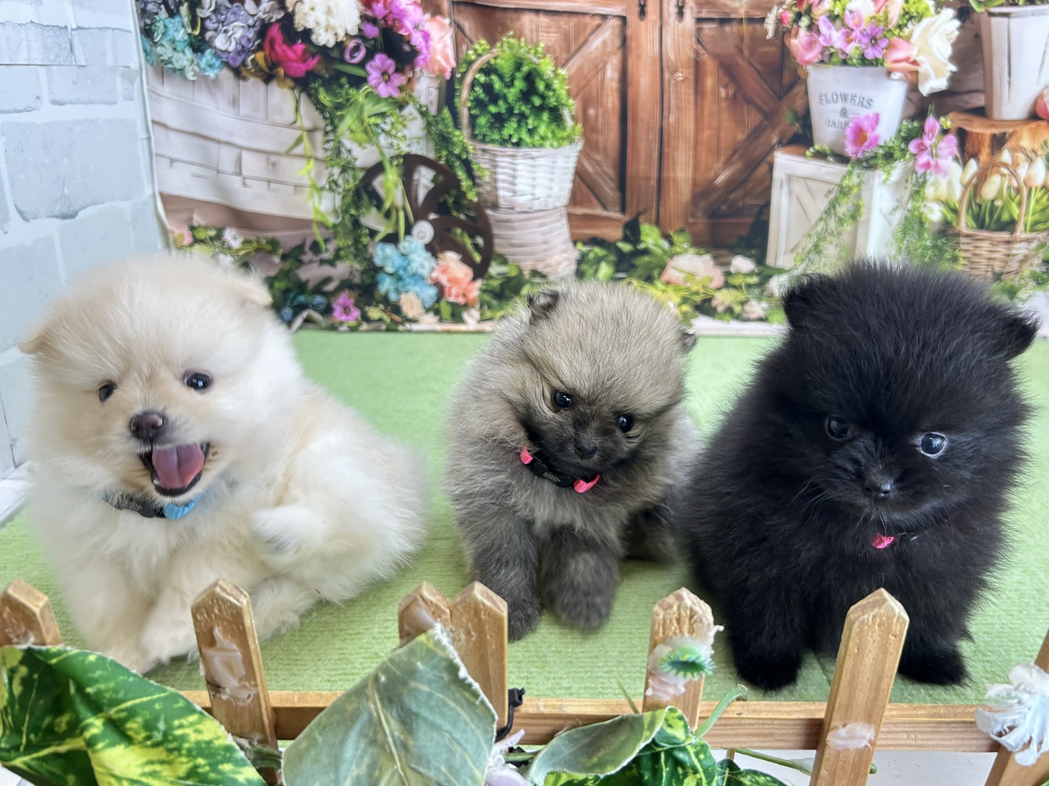 赤ちゃん写真2-3