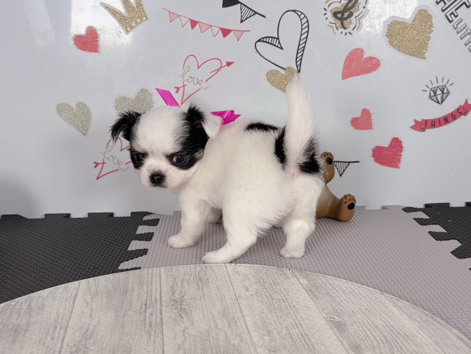 赤ちゃん写真2-2
