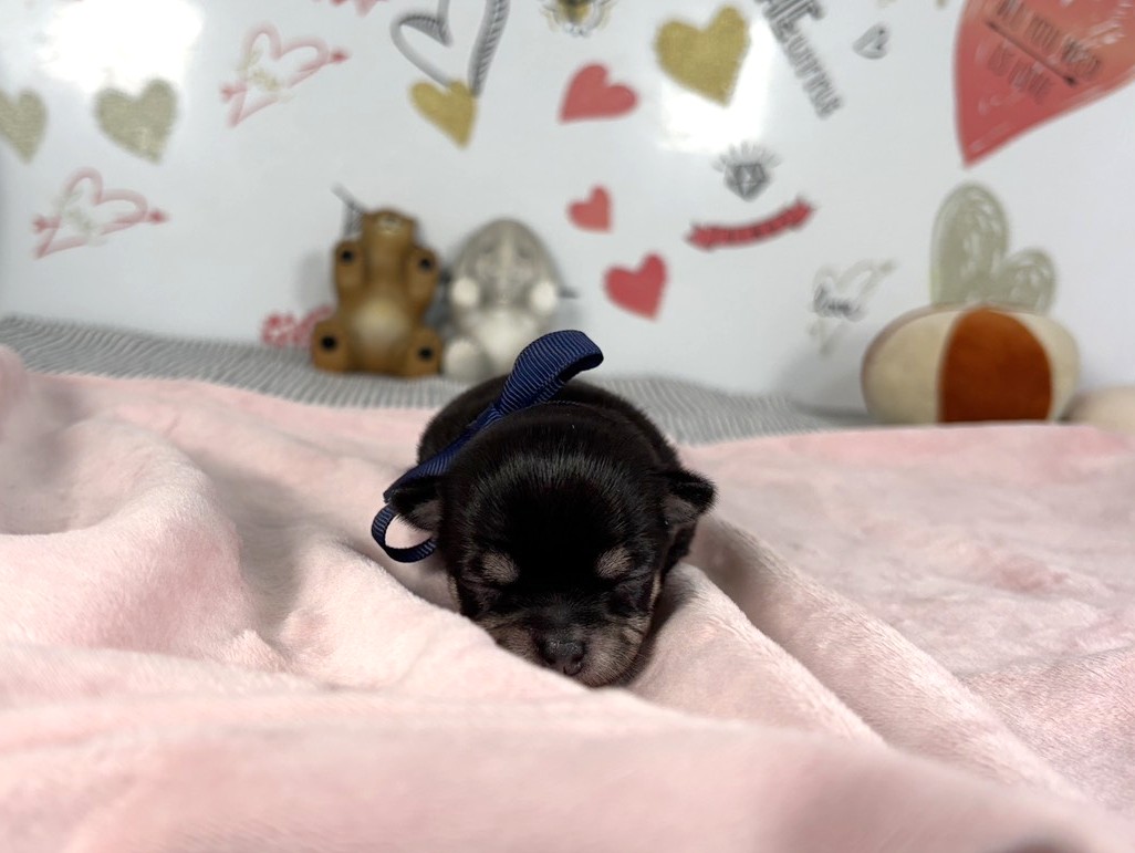 赤ちゃん写真1-1