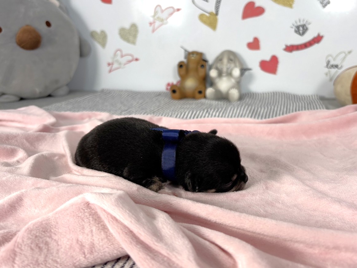 赤ちゃん写真1-2