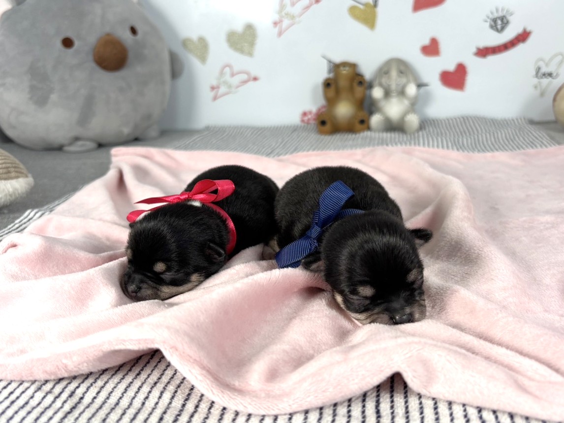 赤ちゃん写真1-3