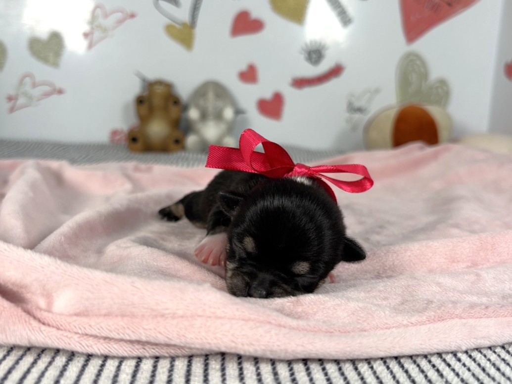 赤ちゃん写真1-1