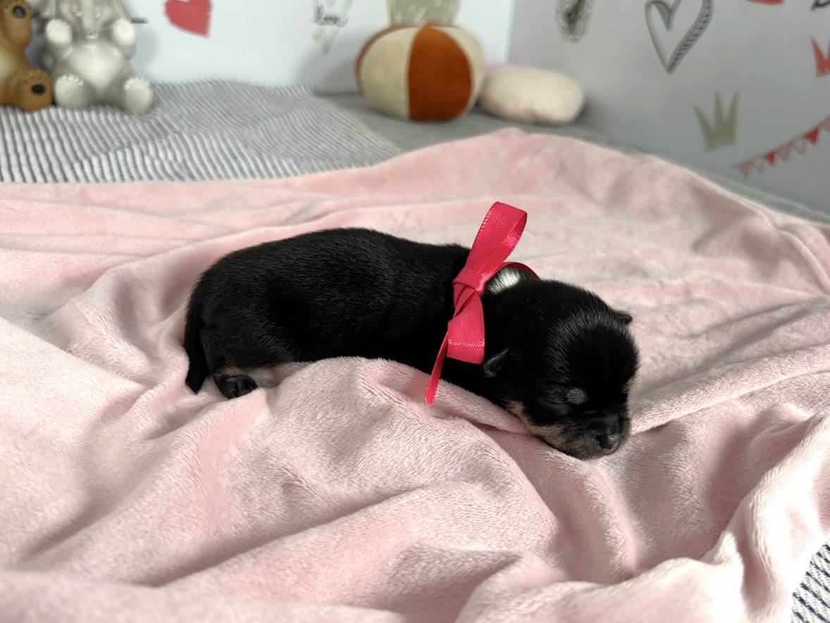 赤ちゃん写真1-2