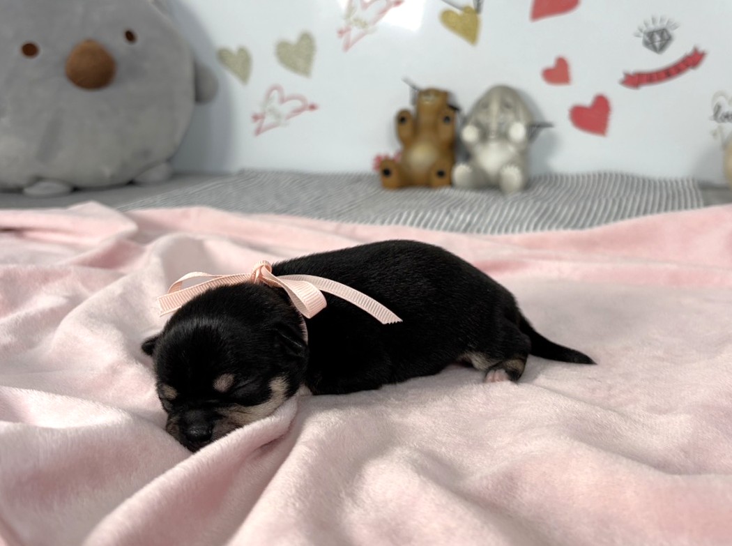 赤ちゃん写真1-2
